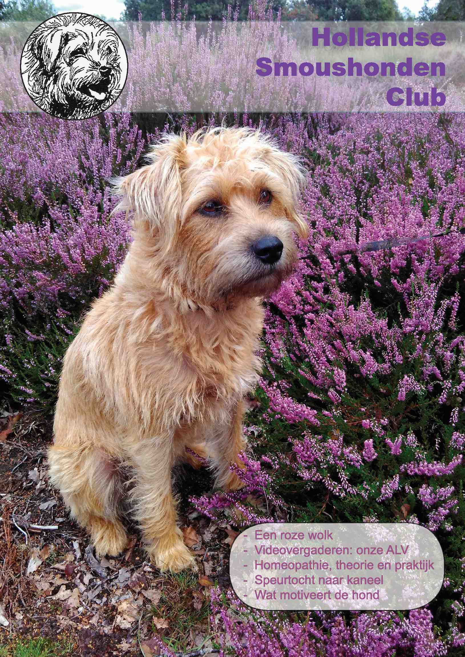 Cover editie september 2020