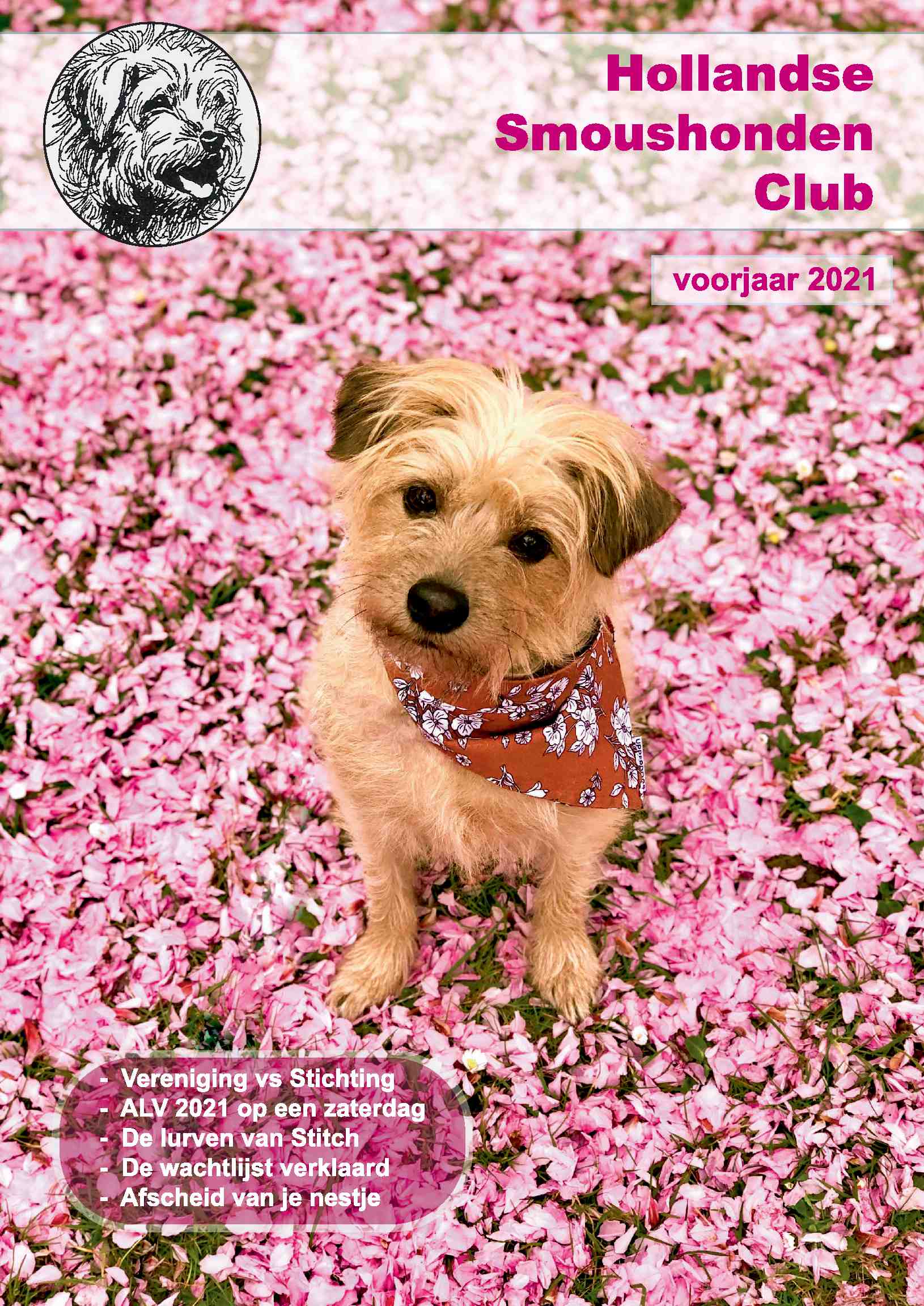 Cover editie april 2021