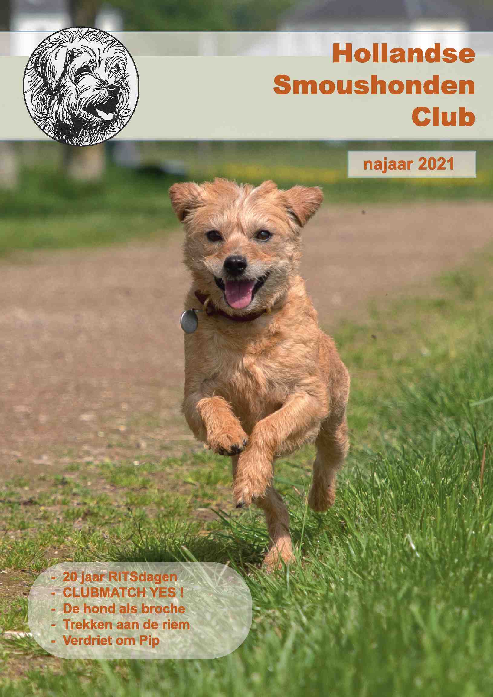 Cover editie oktober 2021