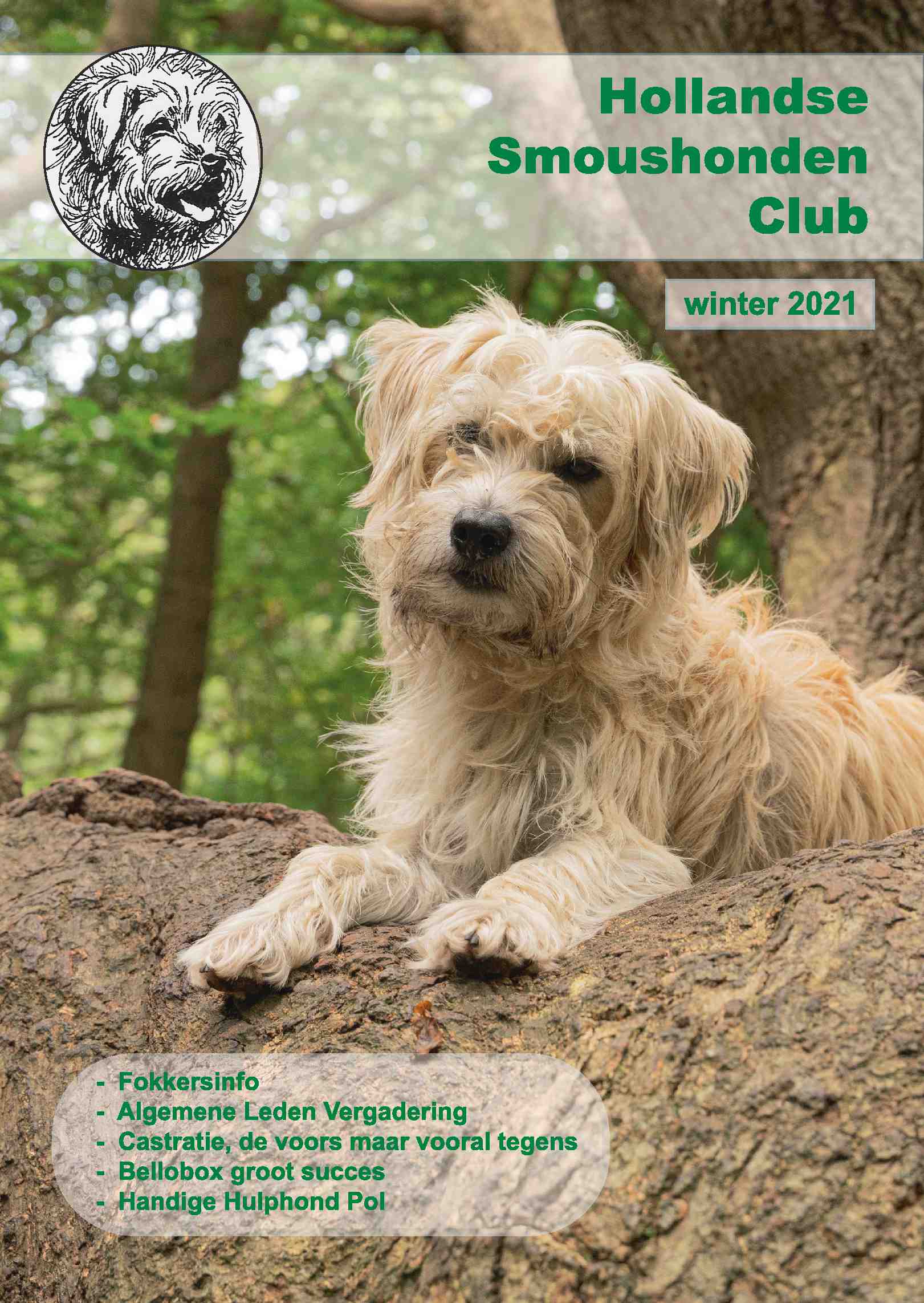 Cover editie december 2021