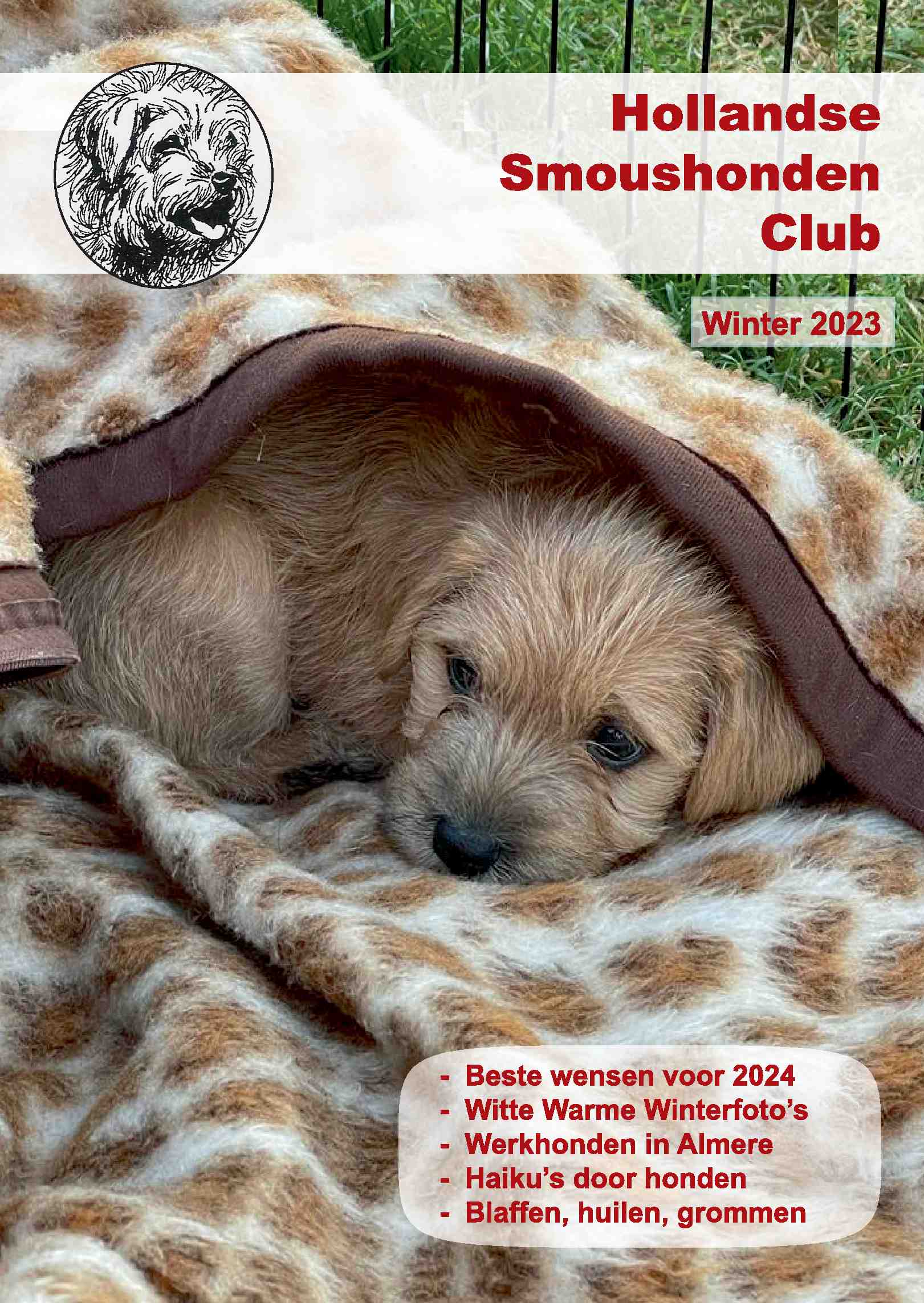 Cover editie december 2023