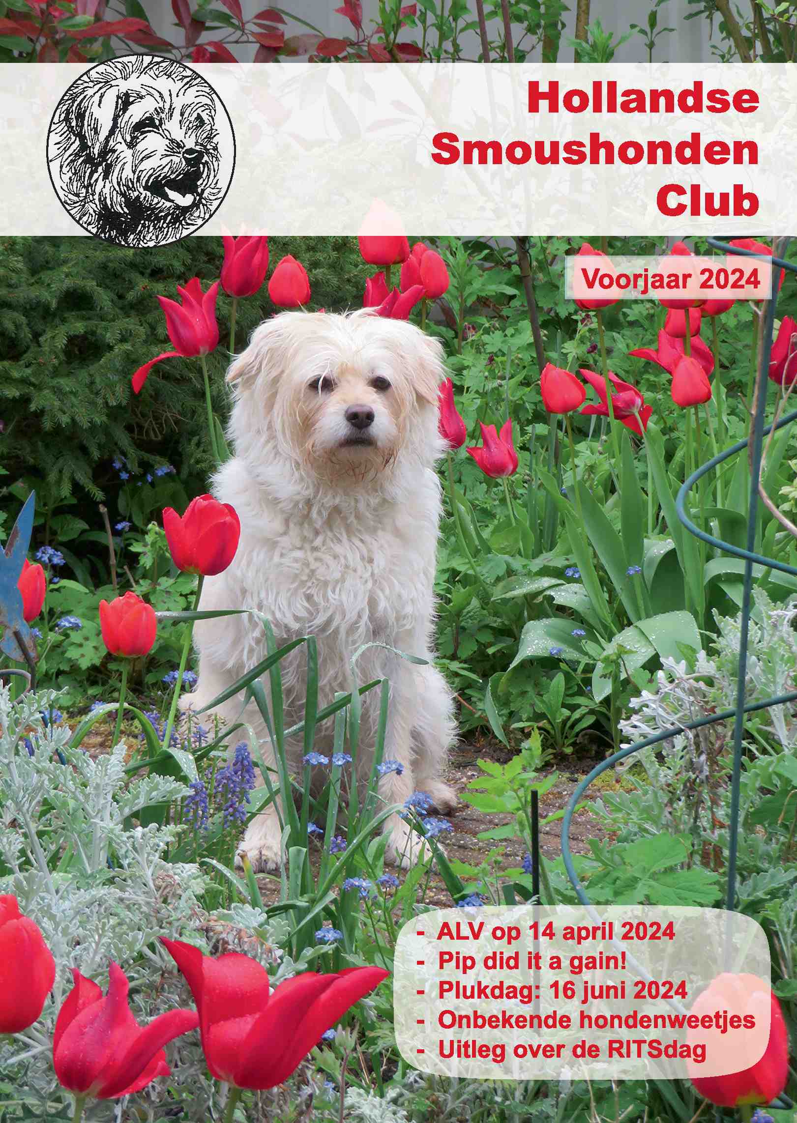 Cover editie maart 2024