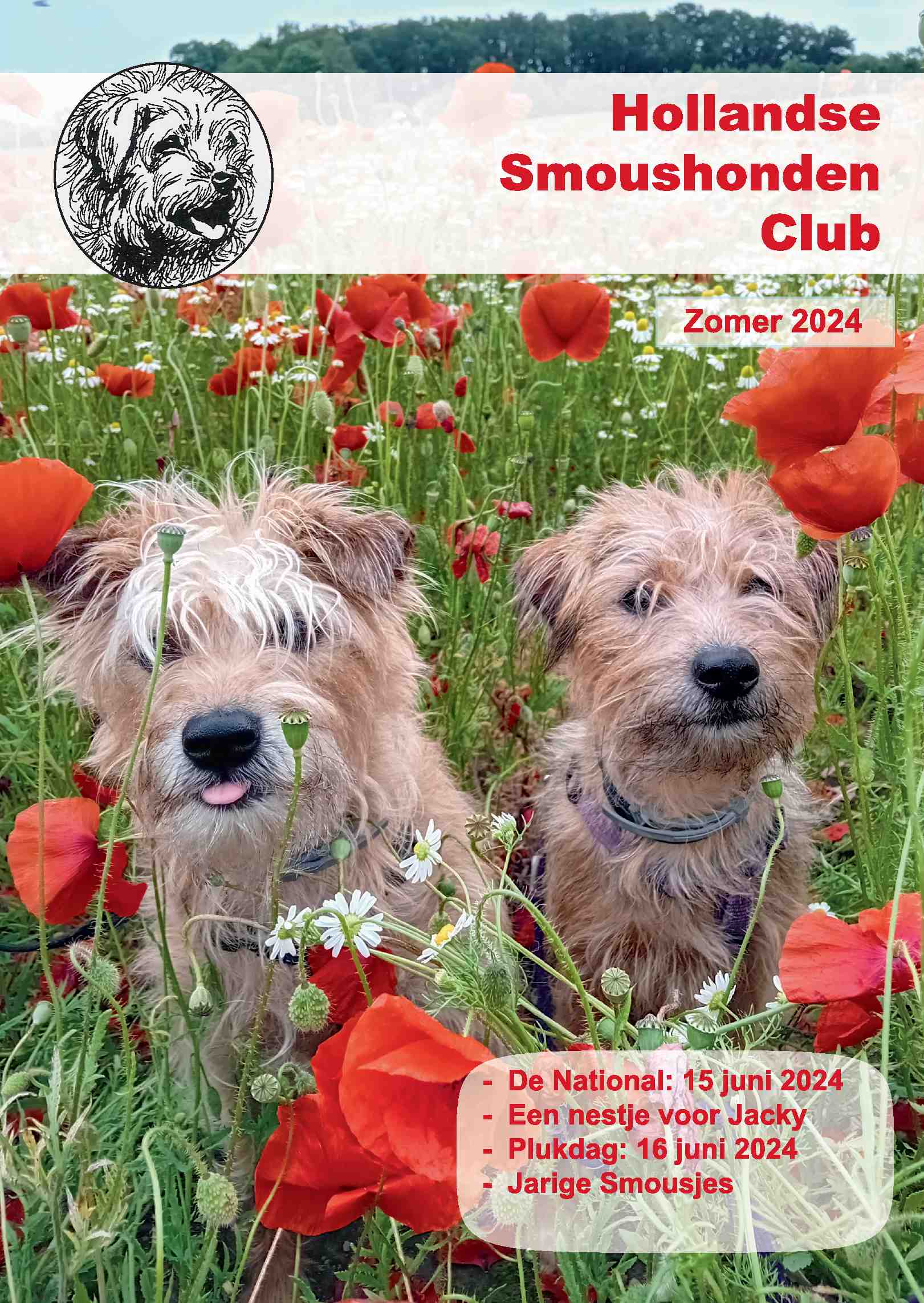 Cover editie juli 2024