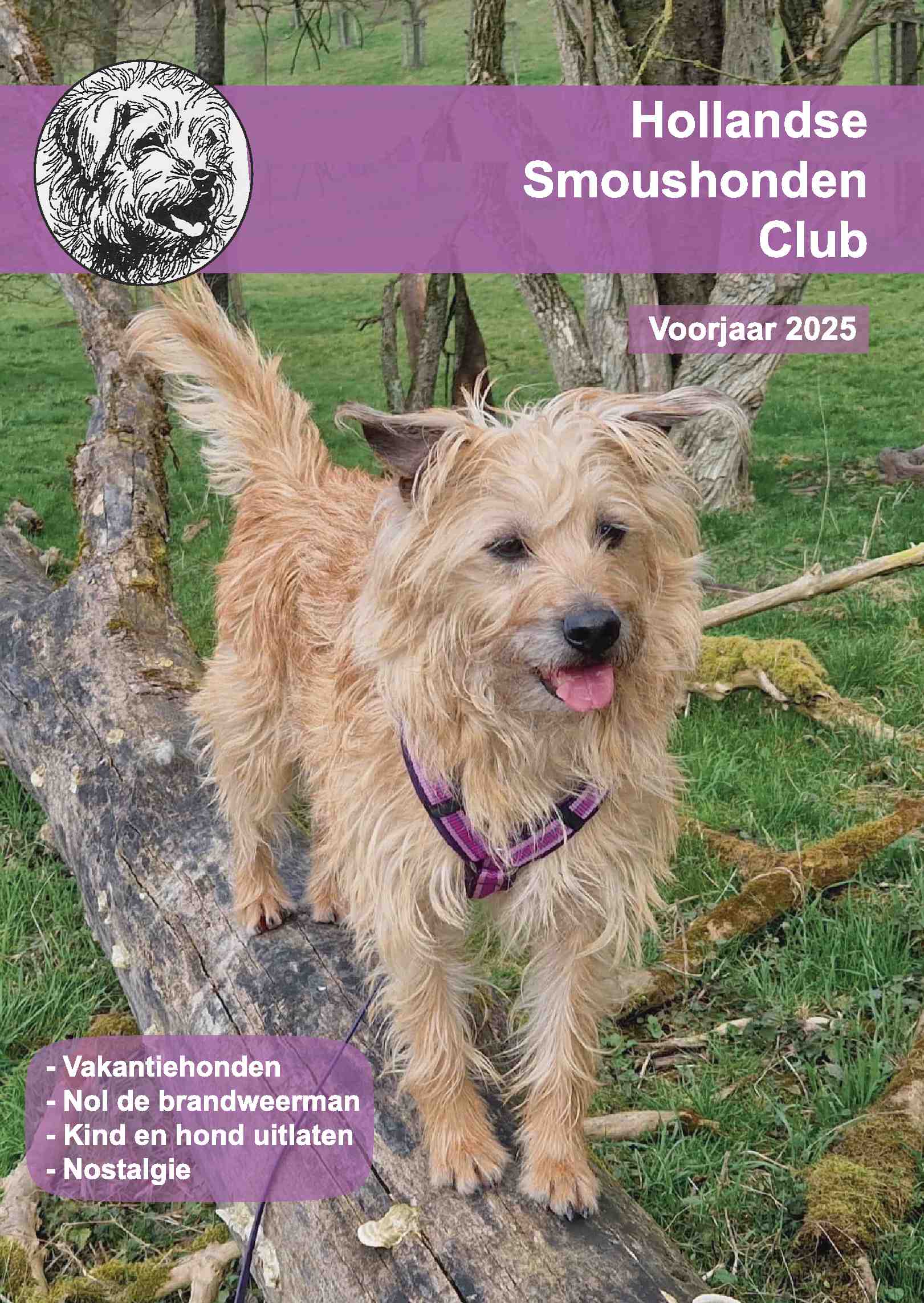 Cover editie april 2025