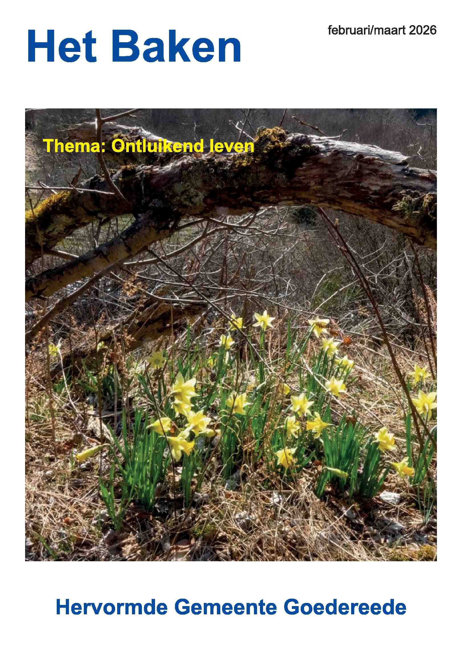 Cover editie februari 2026