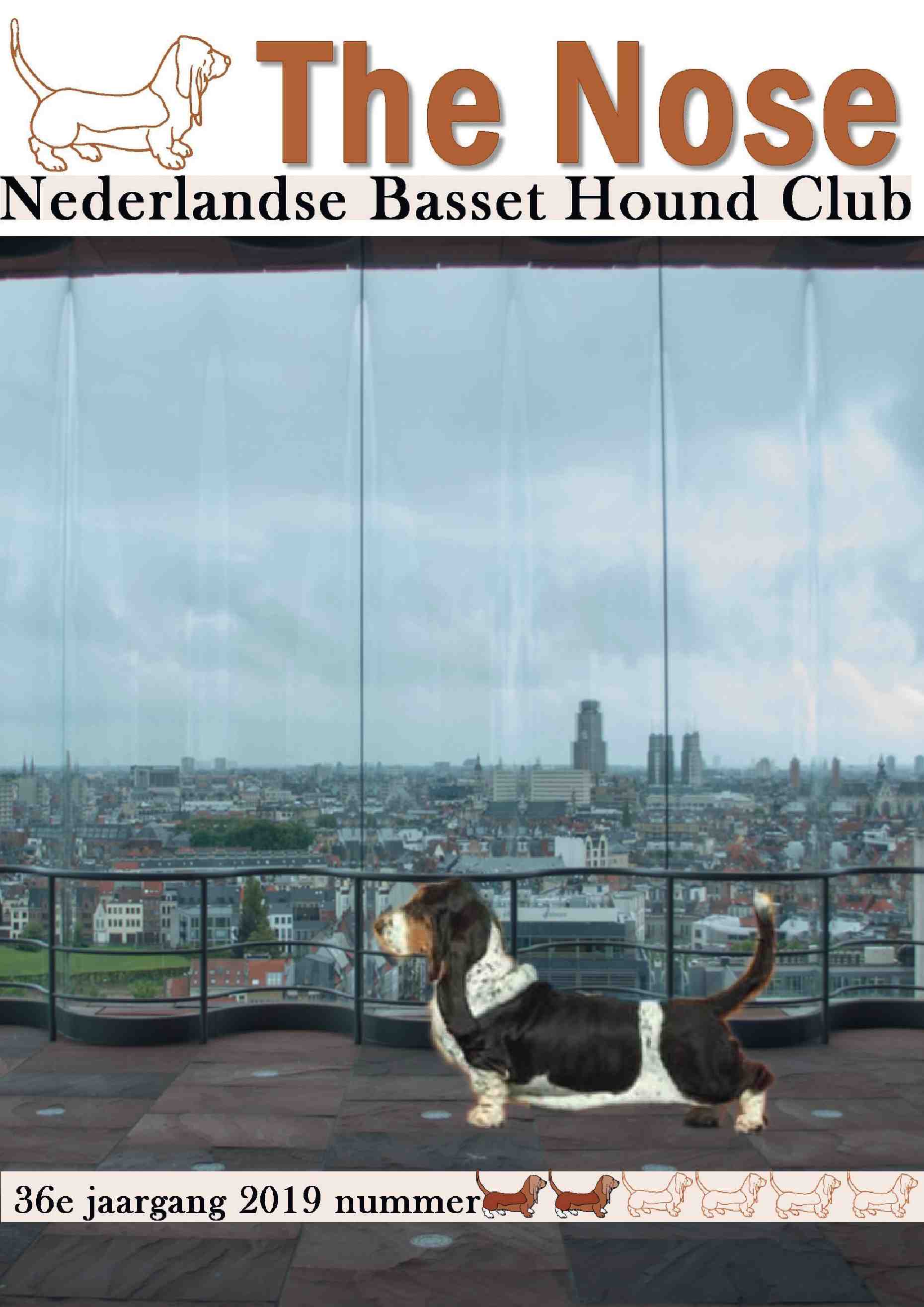 Voorbeeld Clubblad laten drukken: "Nederlandse Basset Hound Club"