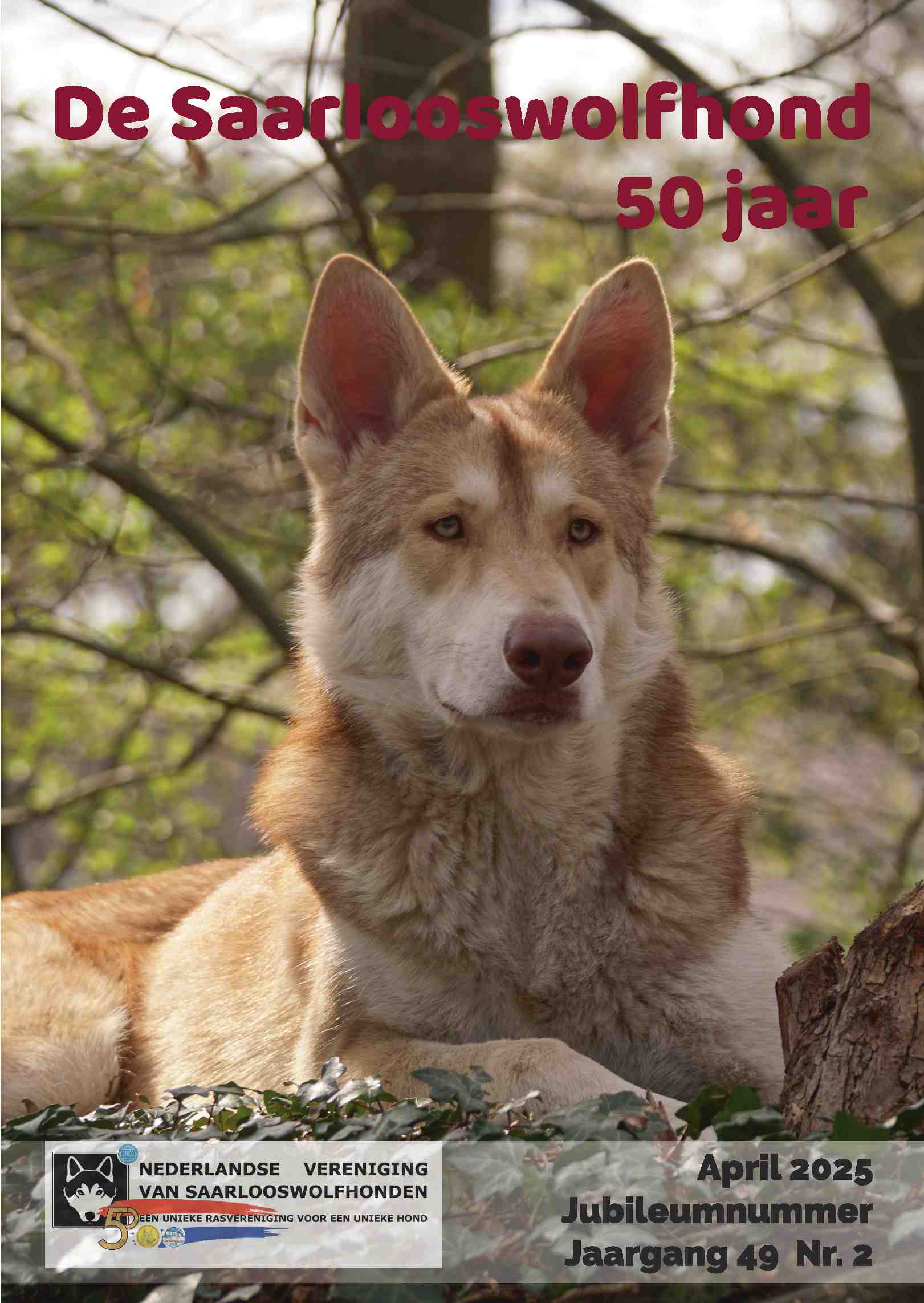 Cover editie april 2025
