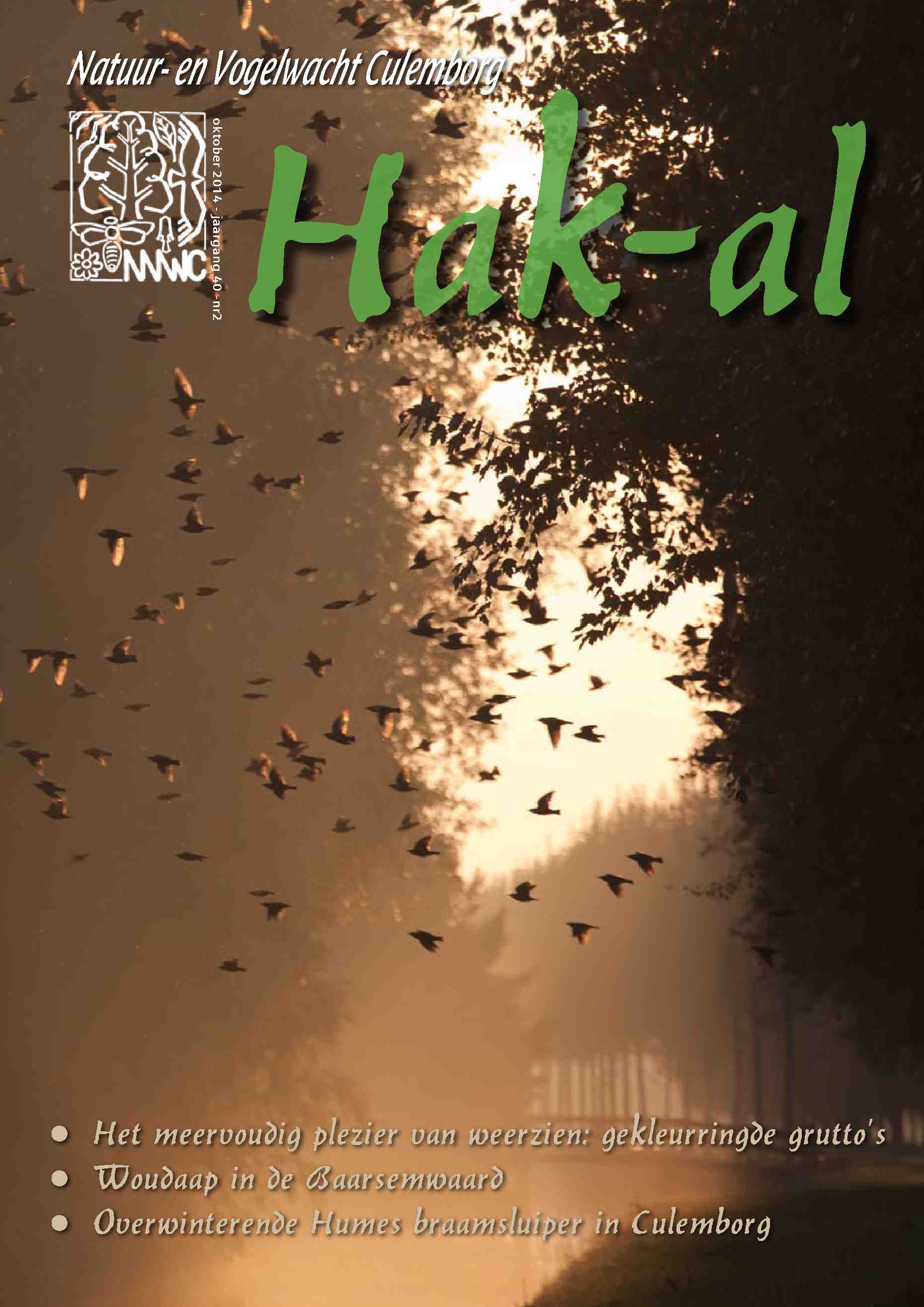 Cover editie oktober 2014