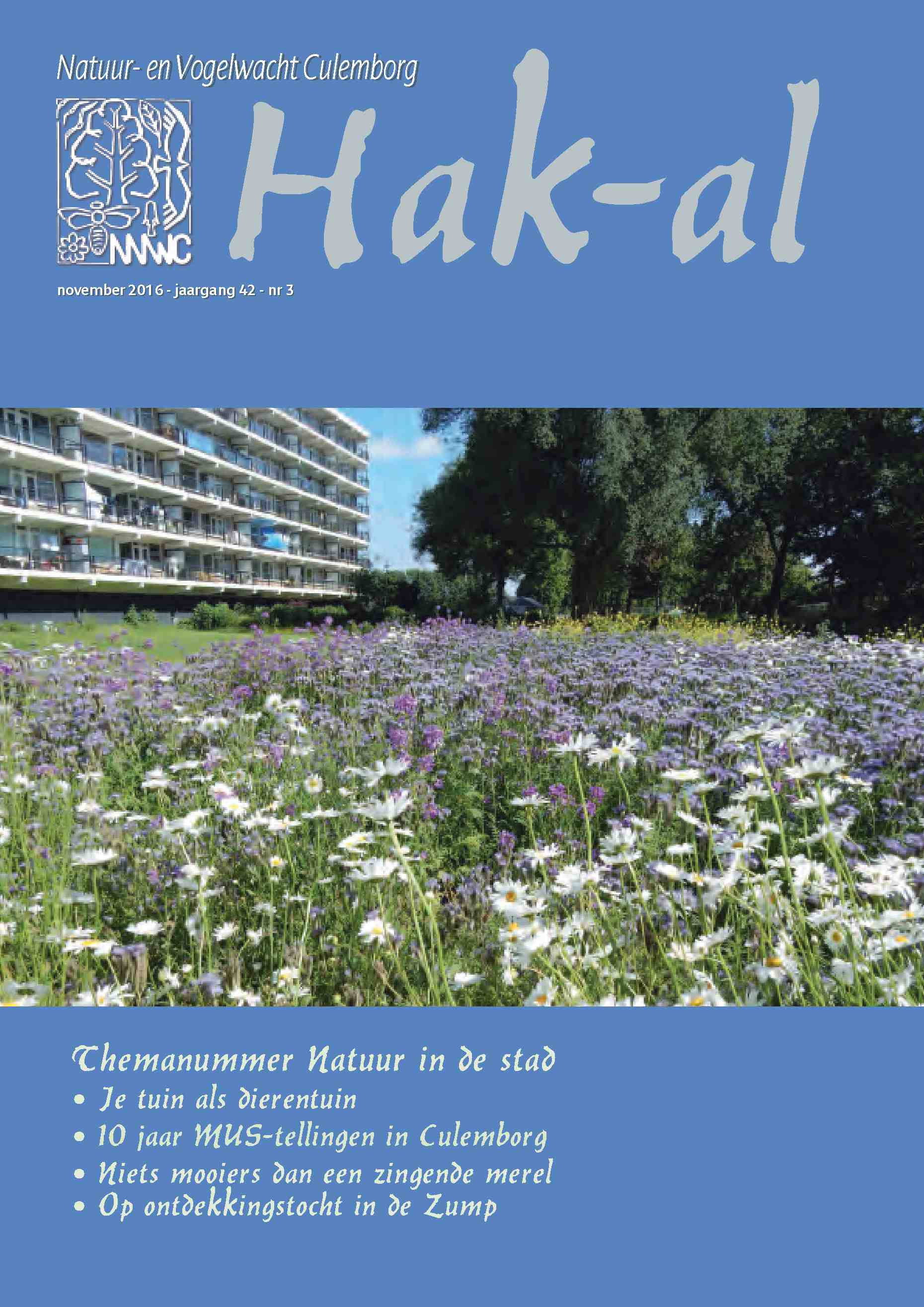 Cover editie november 2016