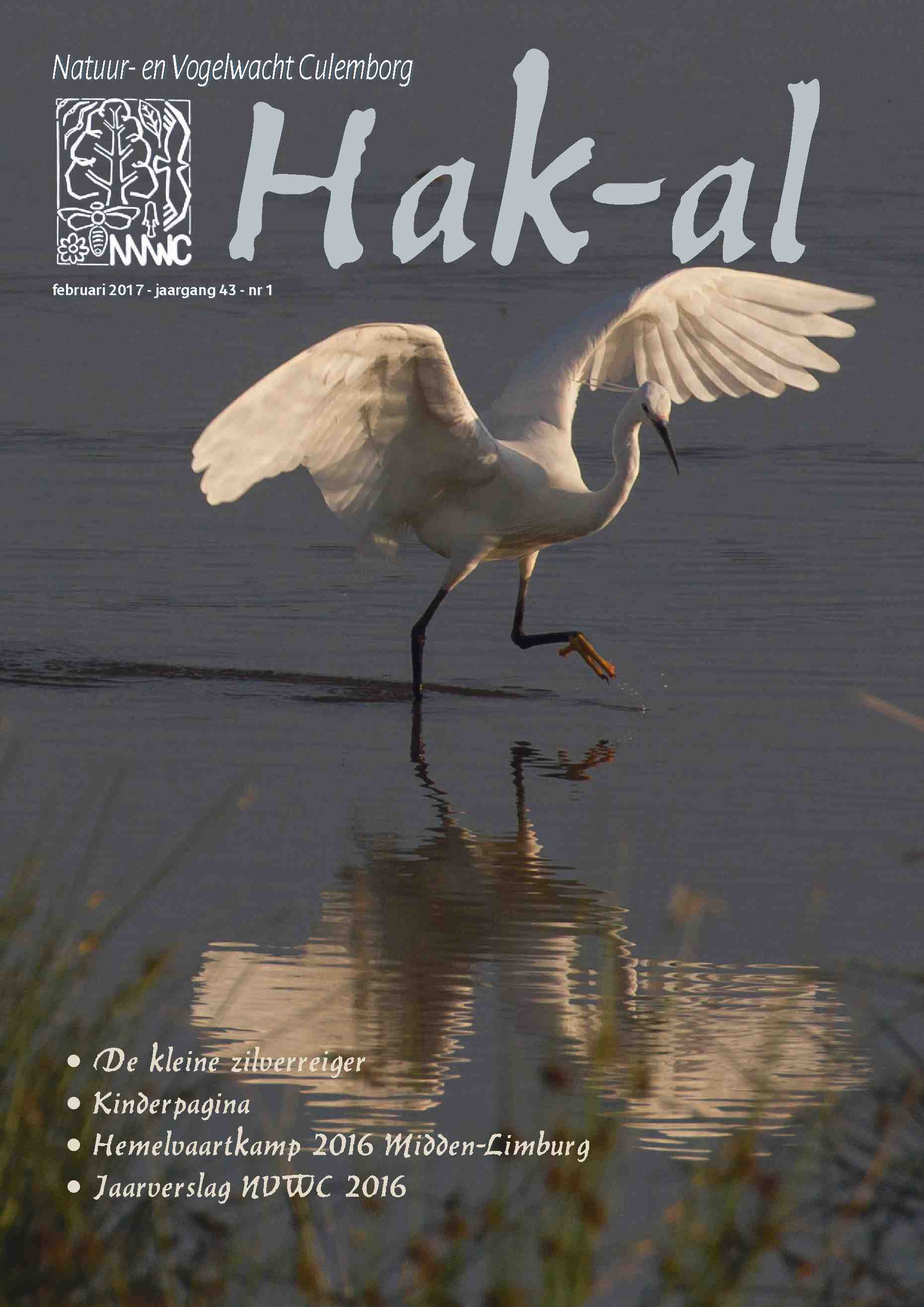 Cover editie februari 2017