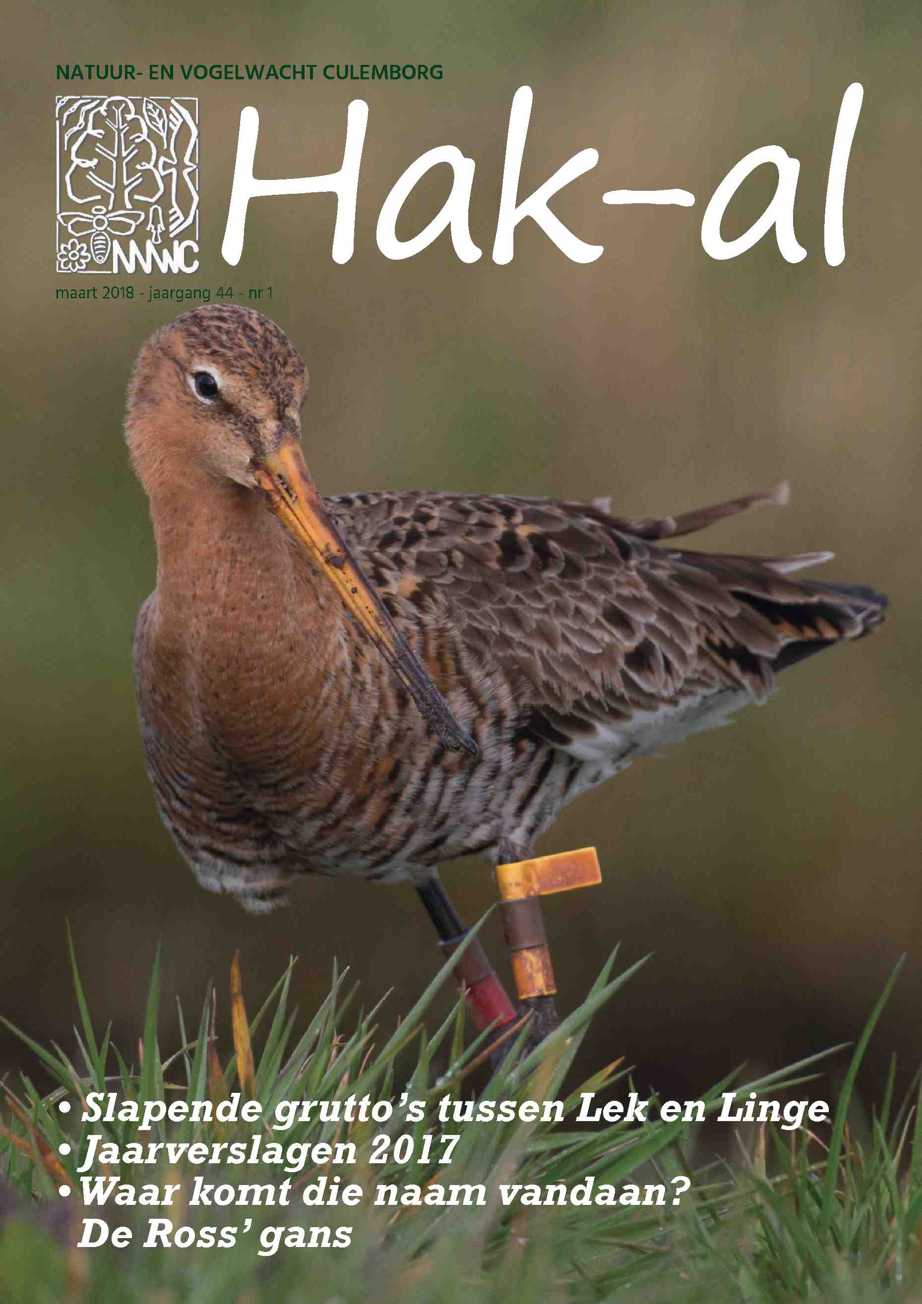 Cover editie maart 2018