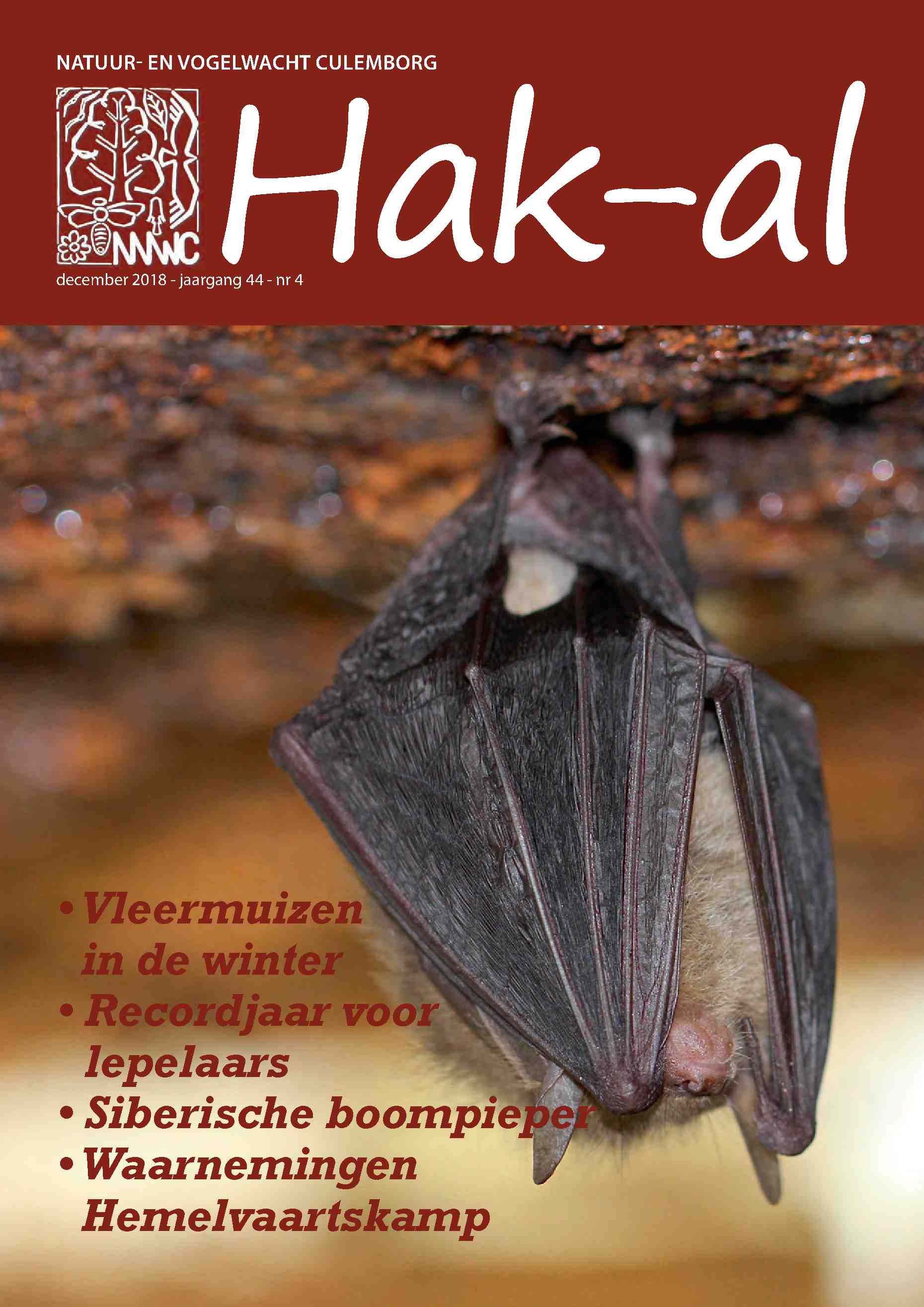 Cover editie december 2018