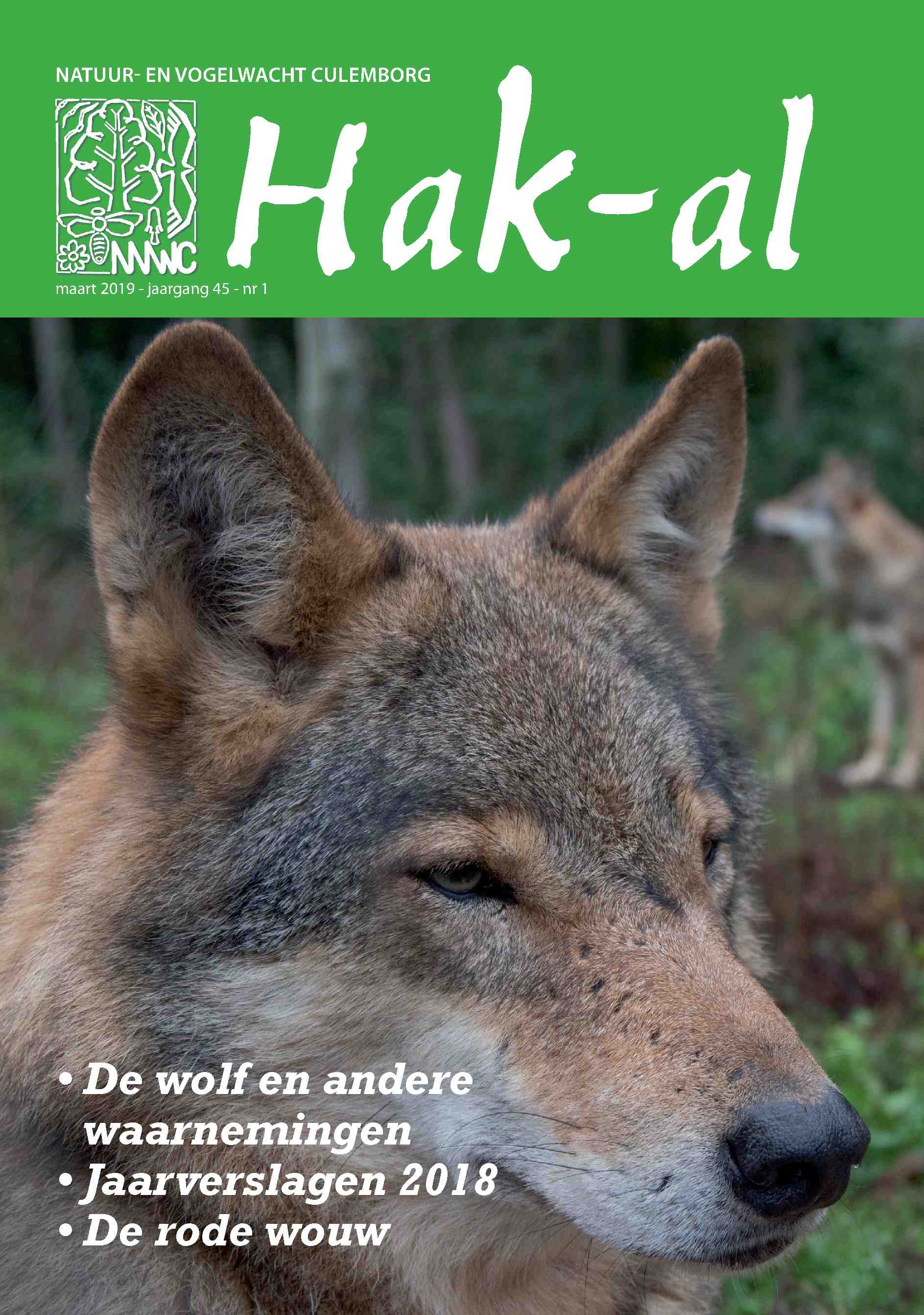 Cover editie maart 2019
