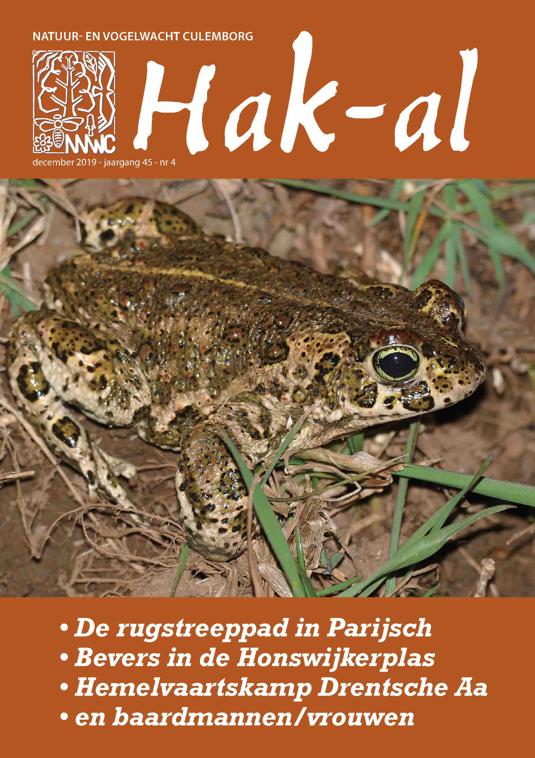 Cover editie december 2019