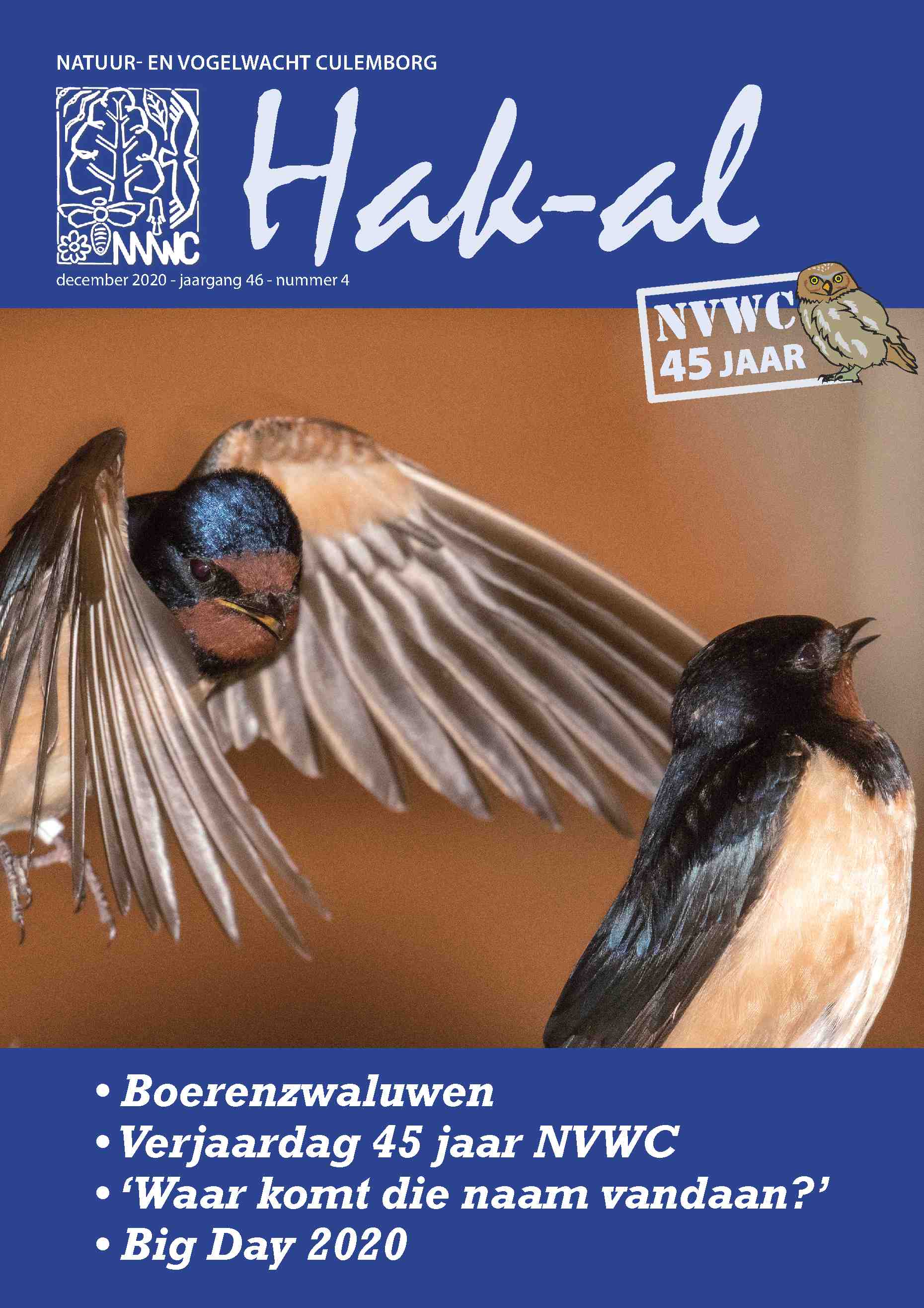 Cover editie december 2020