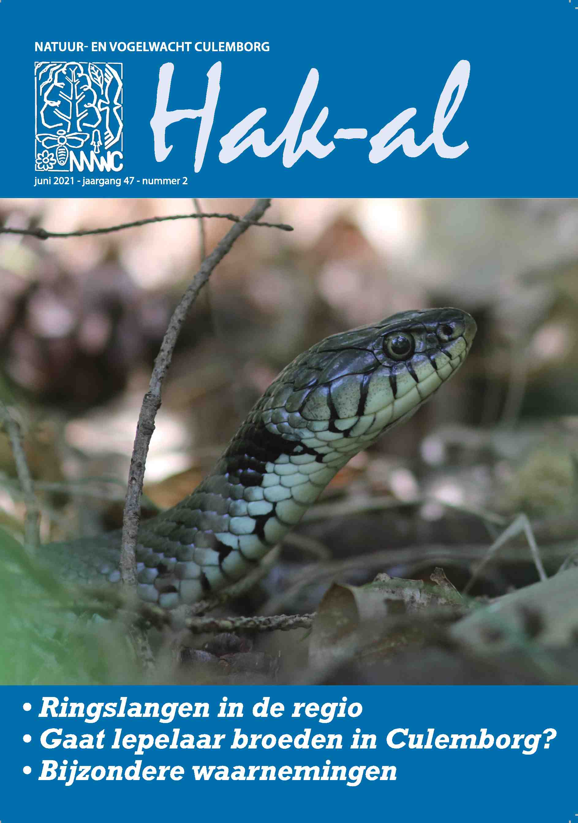 Cover editie juni 2021