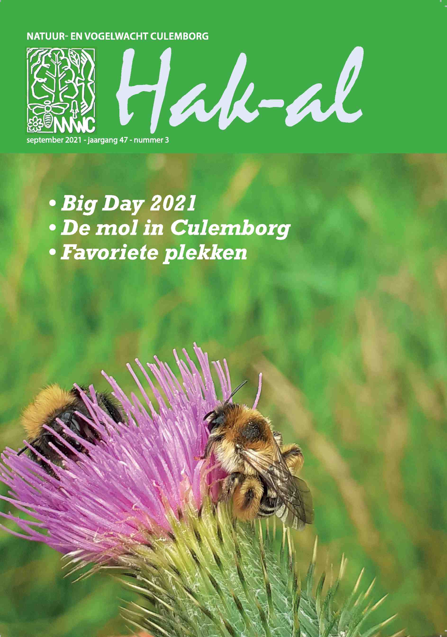 Cover editie september 2021