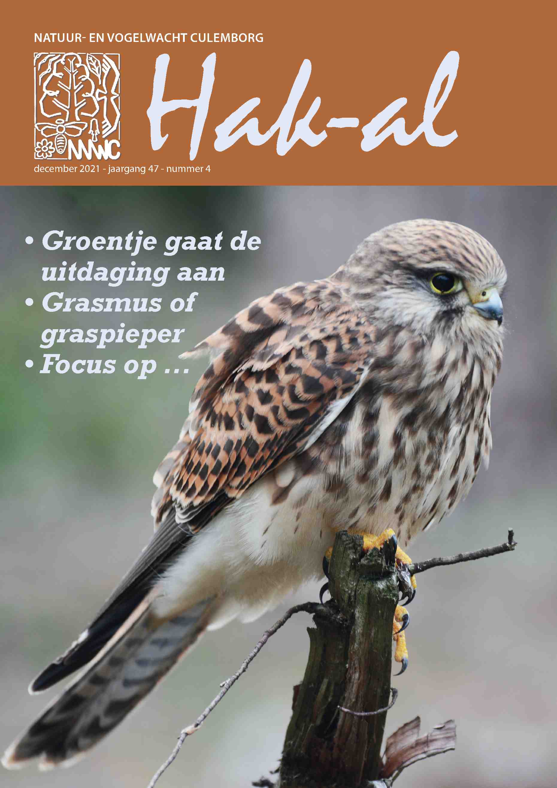 Cover editie november 2021