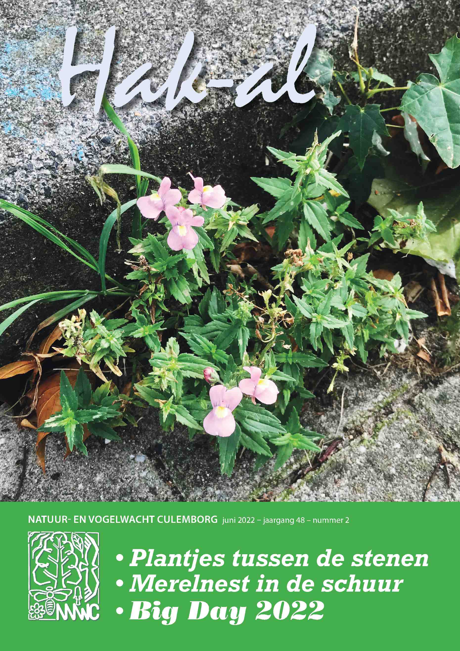 Cover editie juni 2022