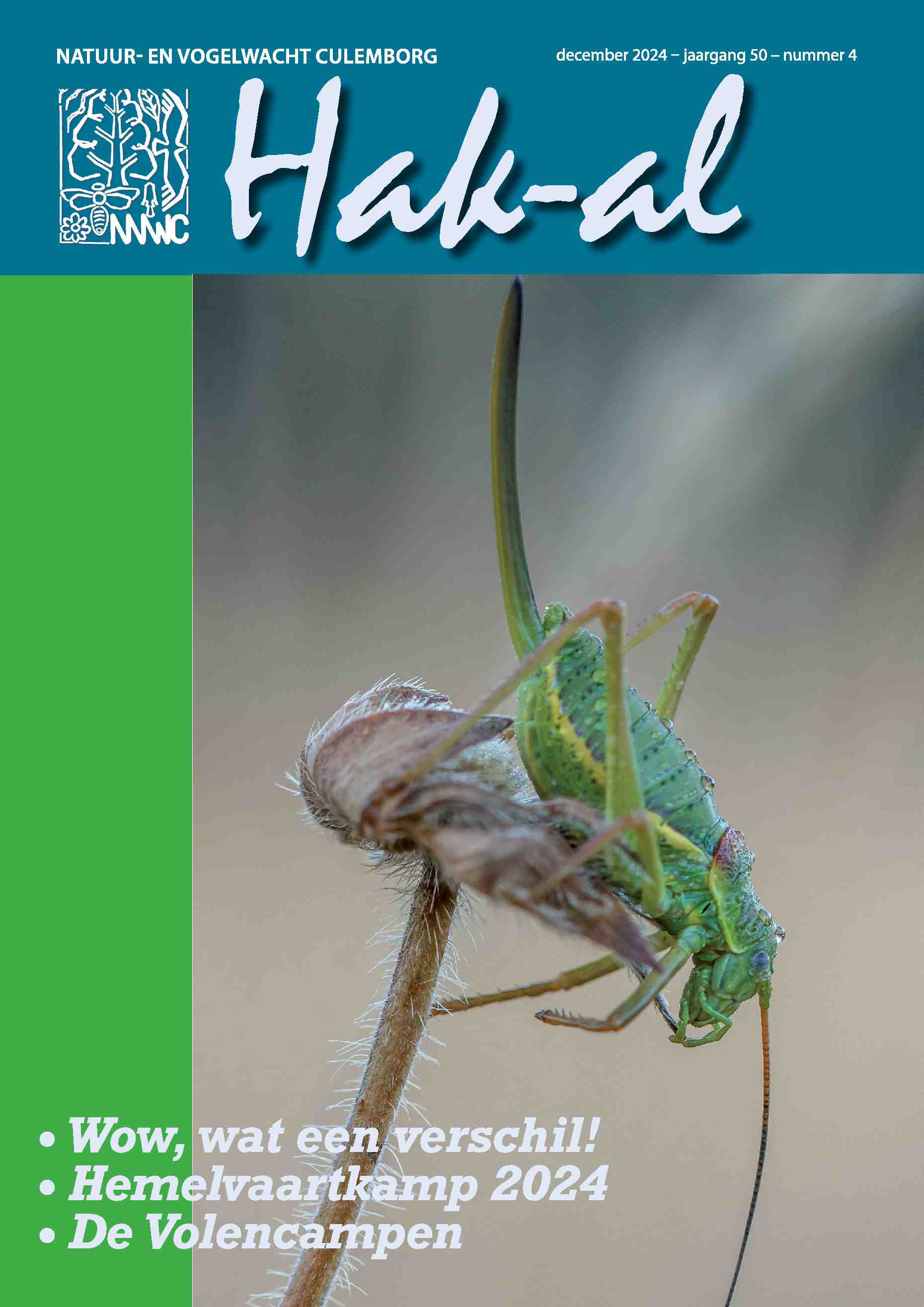 Cover editie december 2024