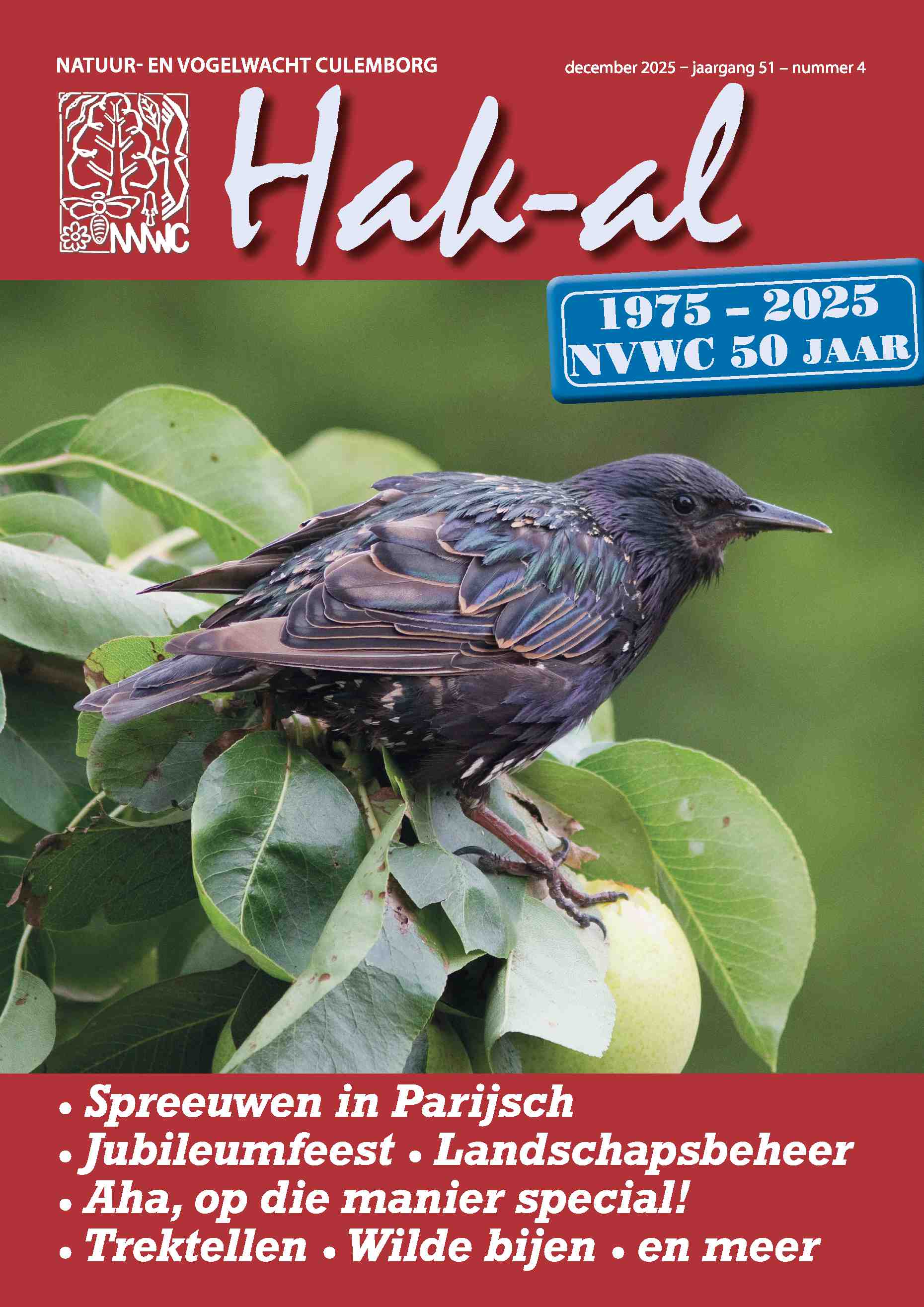 Cover editie december 2025