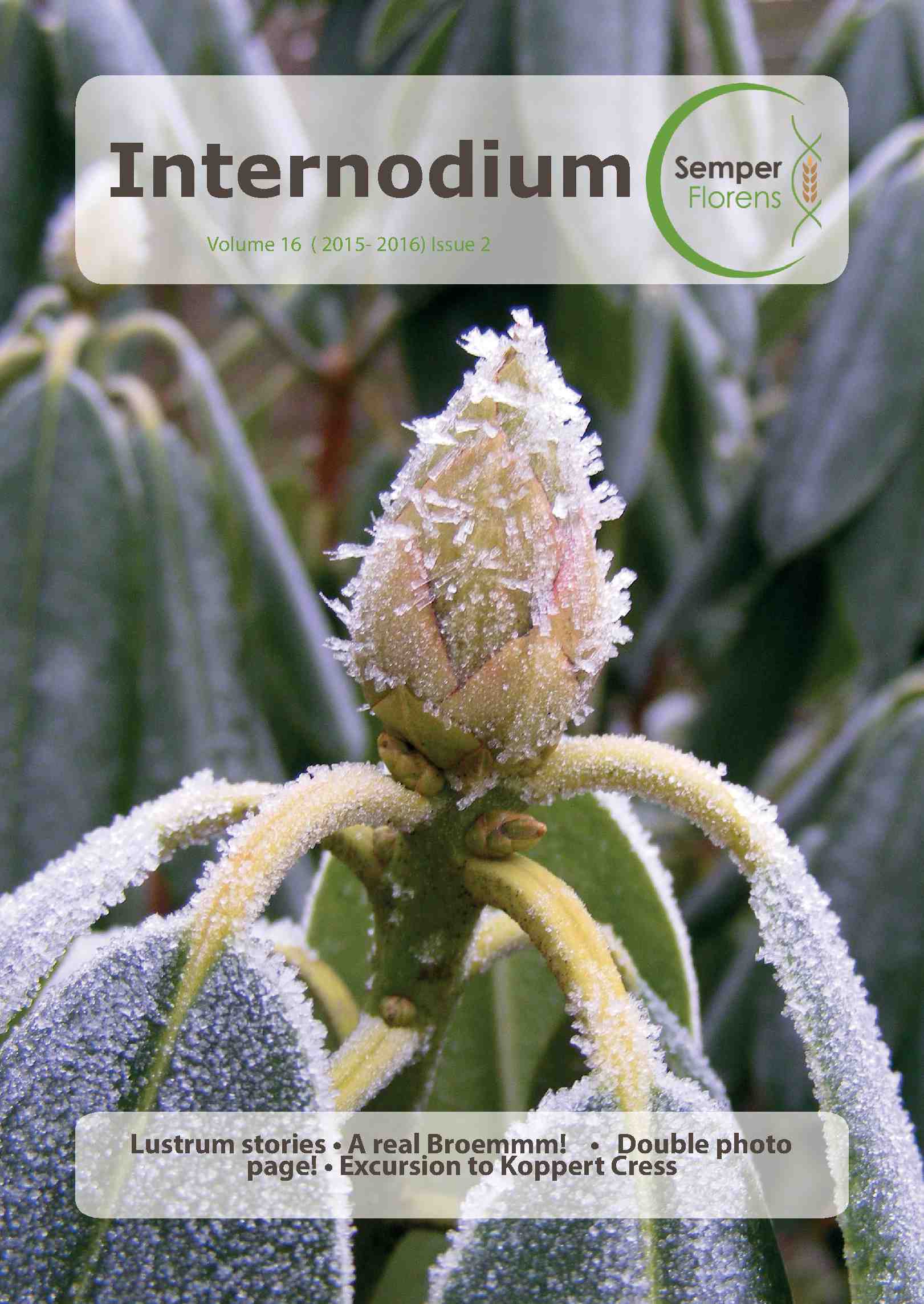 Cover editie december 2015