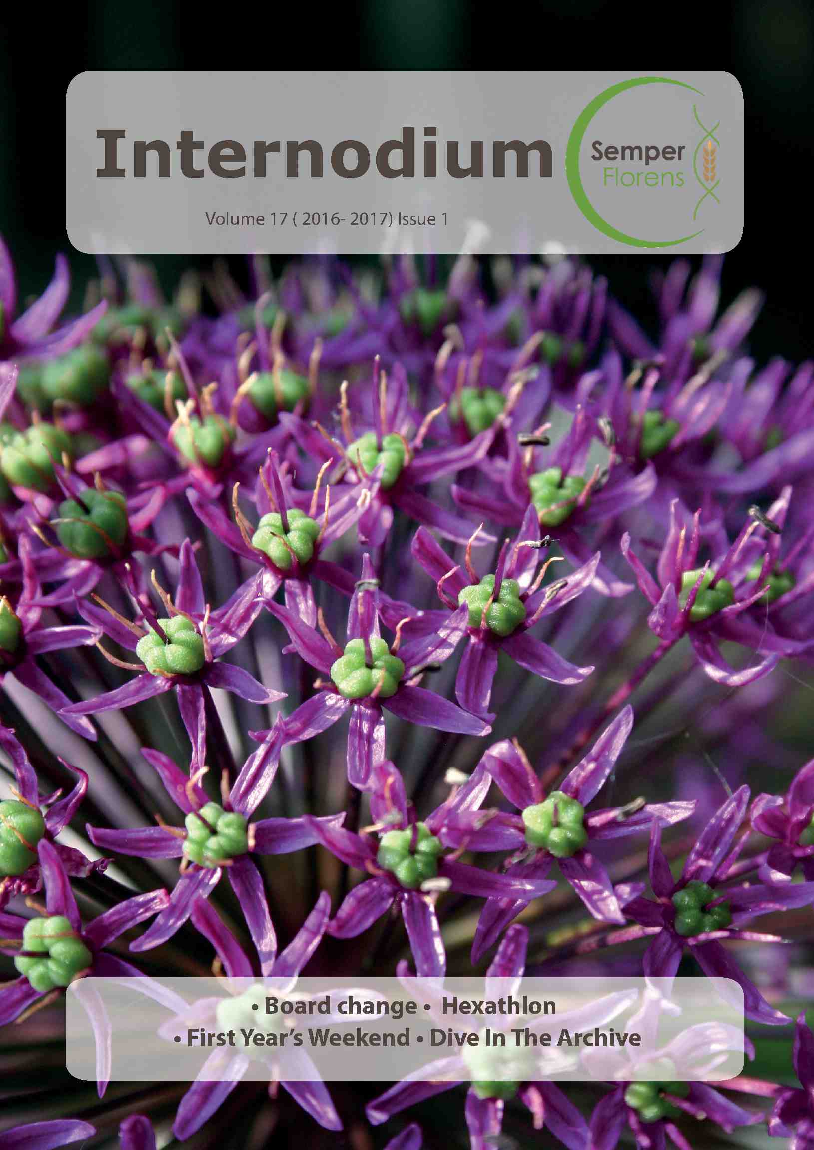 Cover editie november 2016