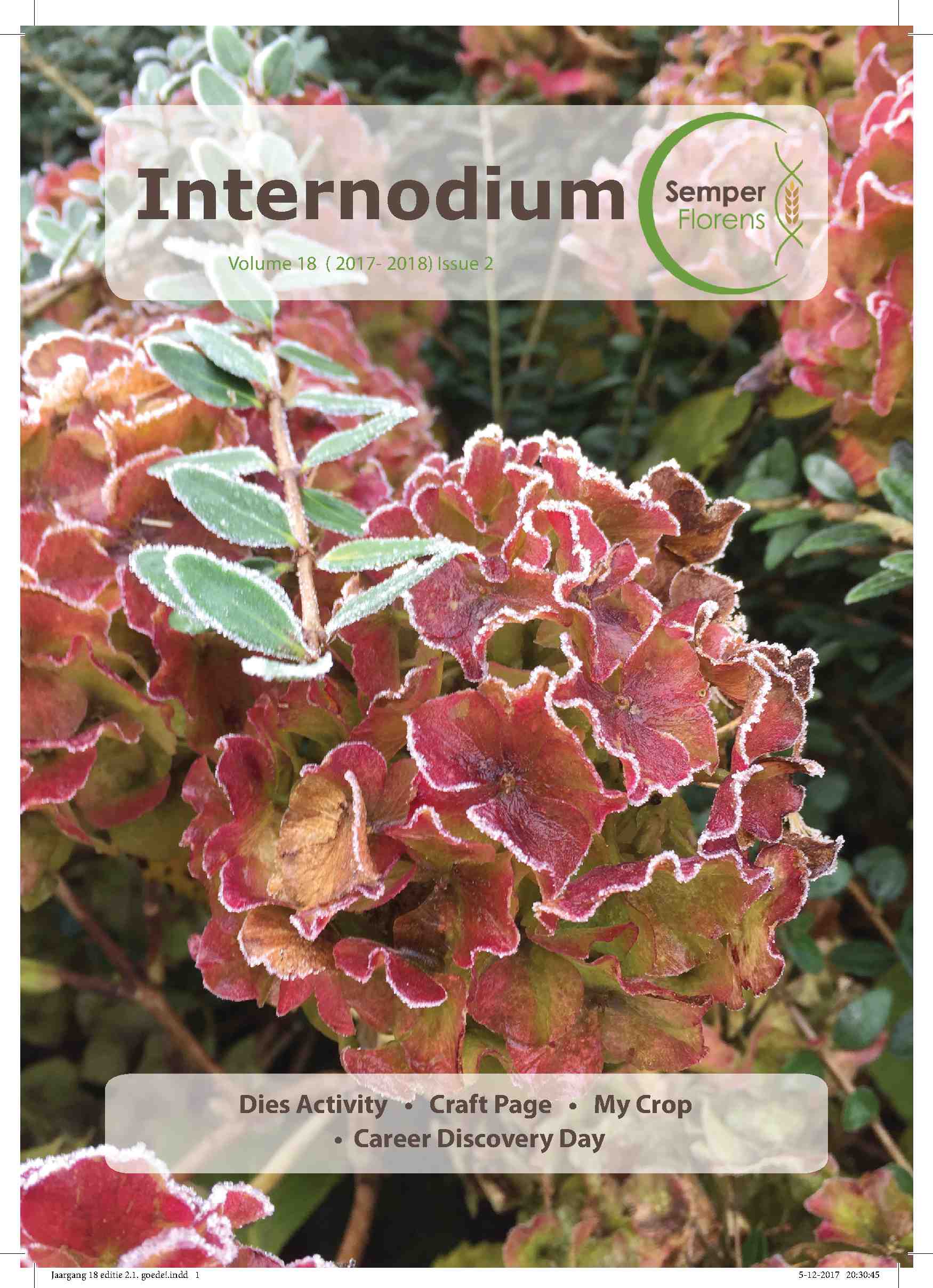 Cover editie december 2017