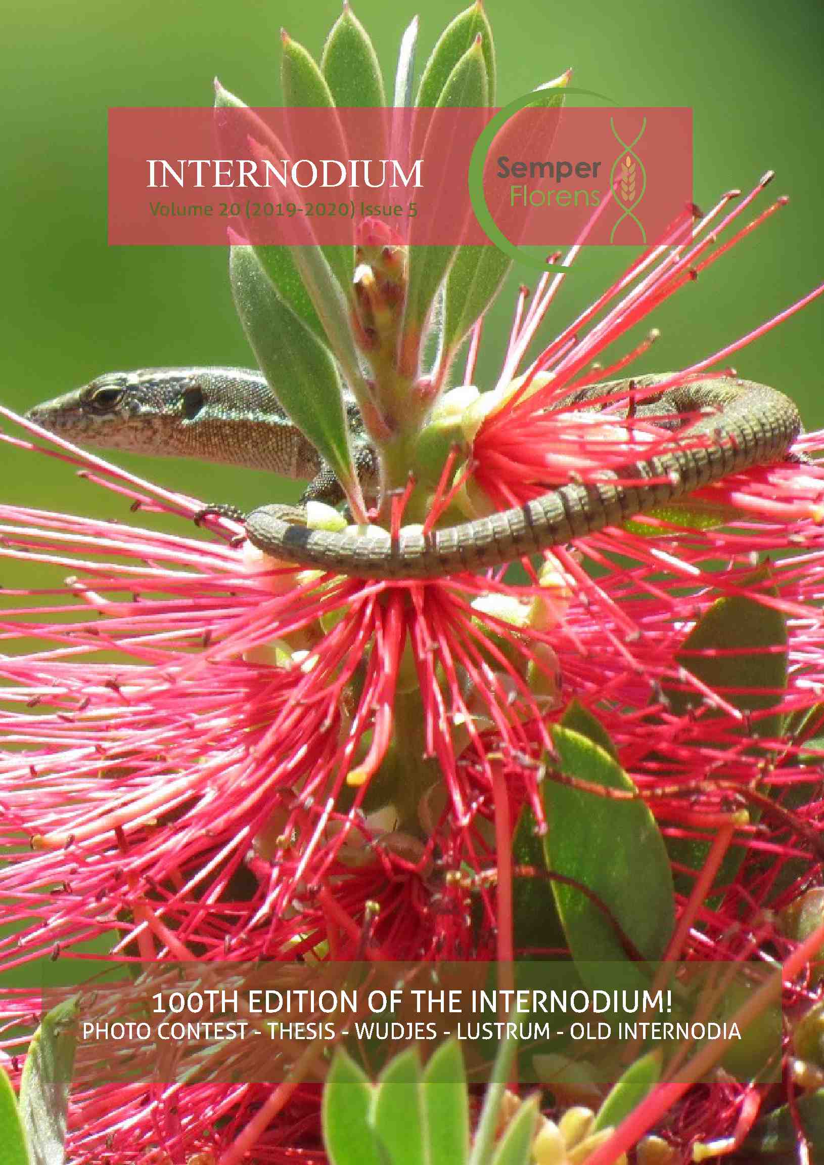 Cover editie juli 2020