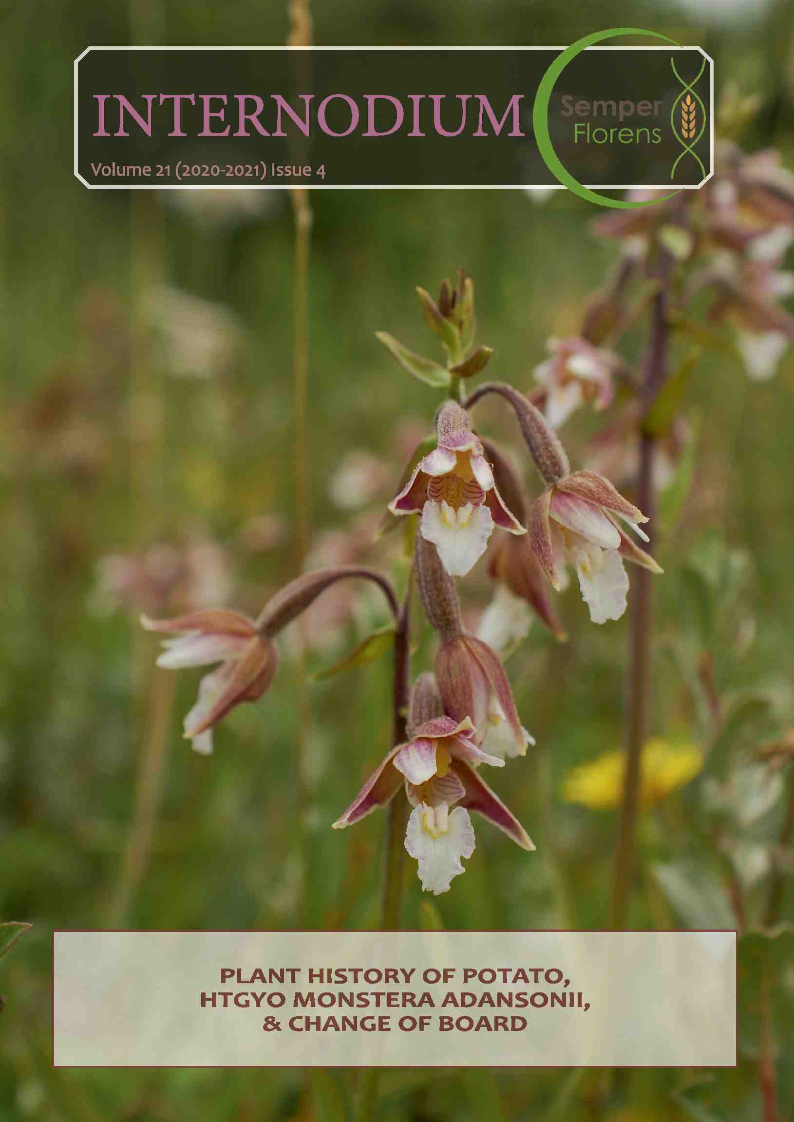 Cover editie april 2021