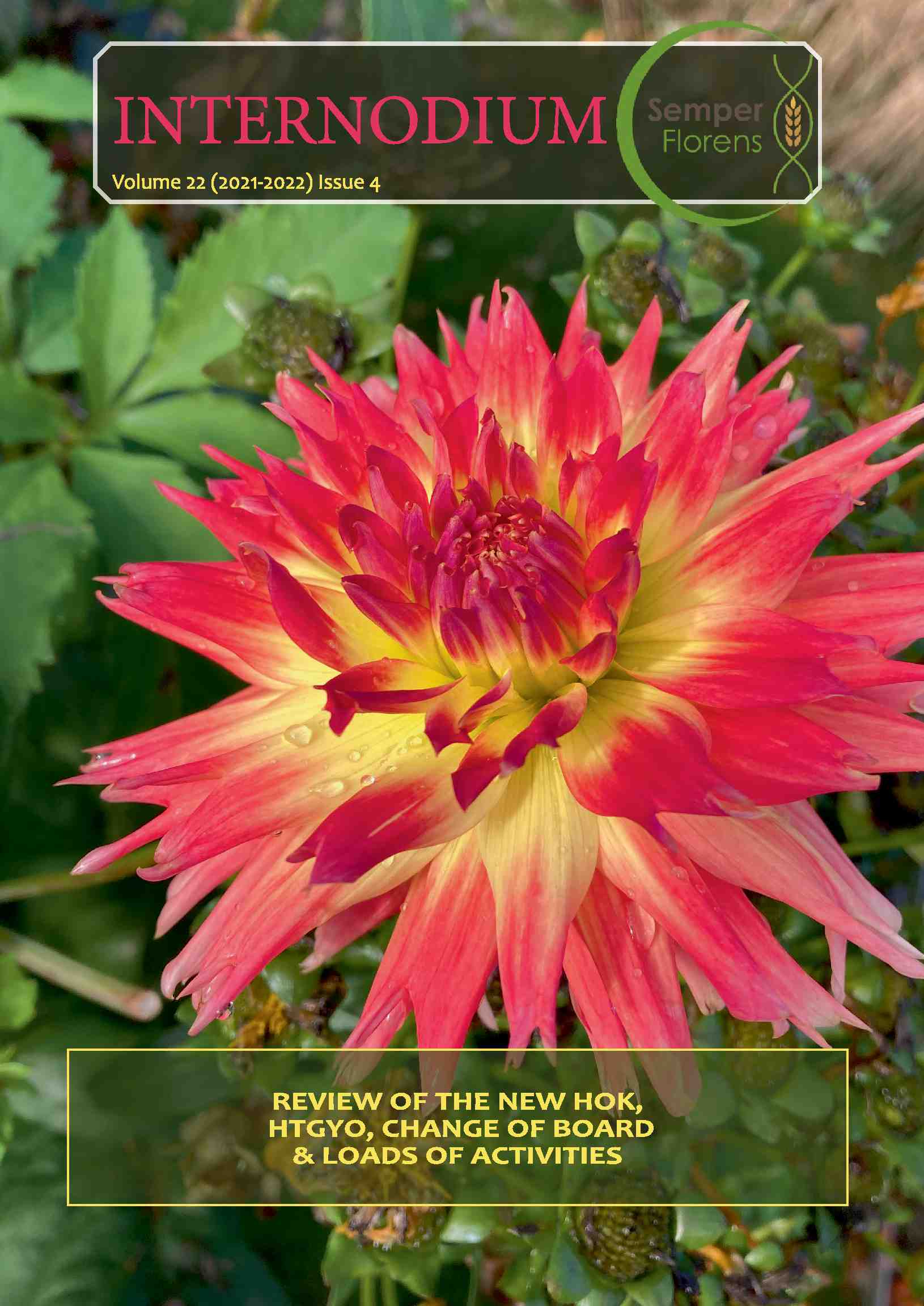 Cover editie mei 2022