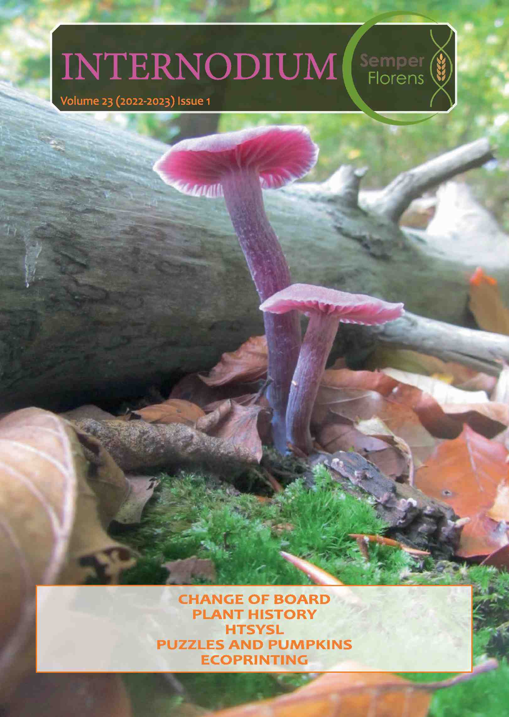 Cover editie november 2022