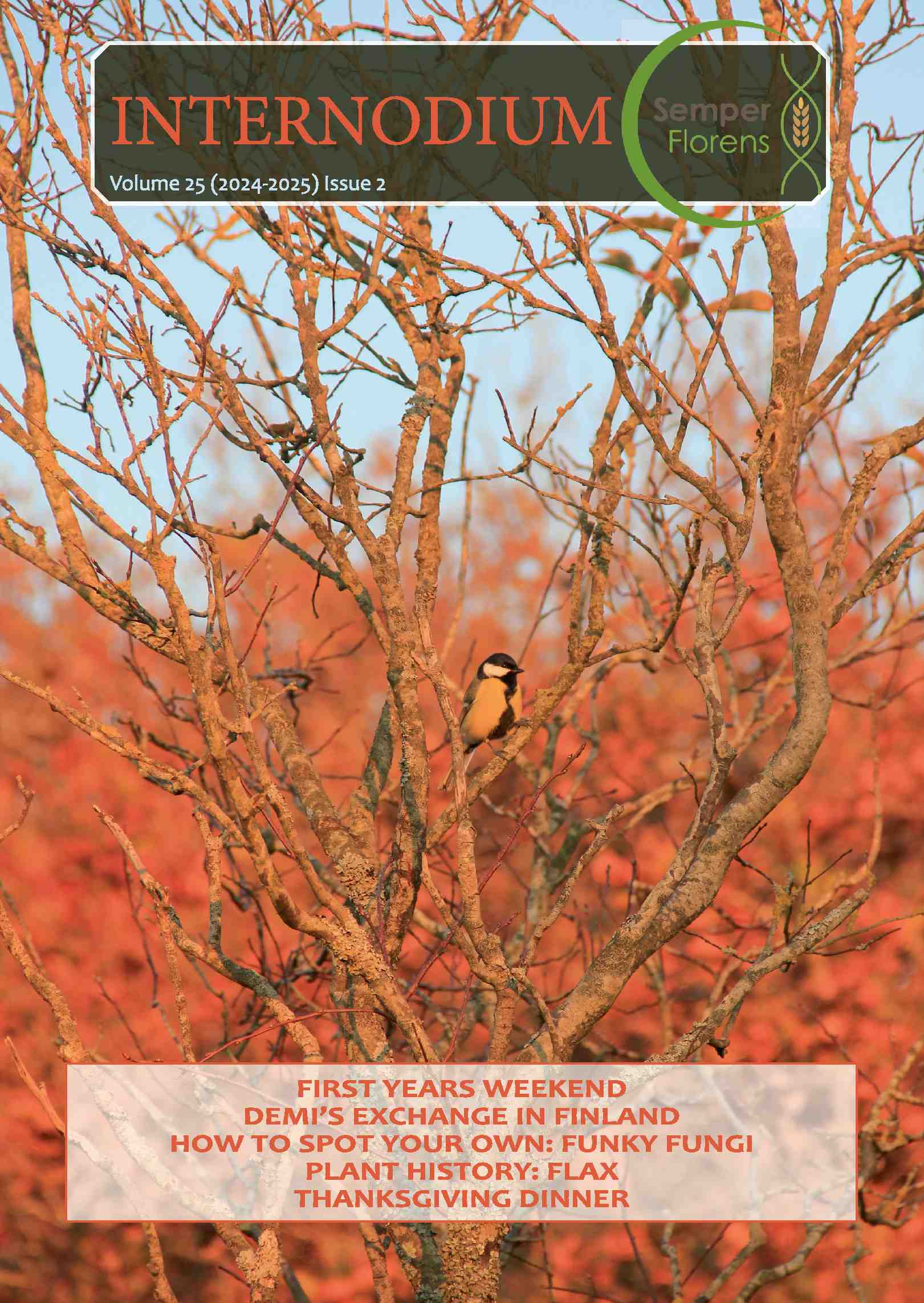Cover editie december 2024