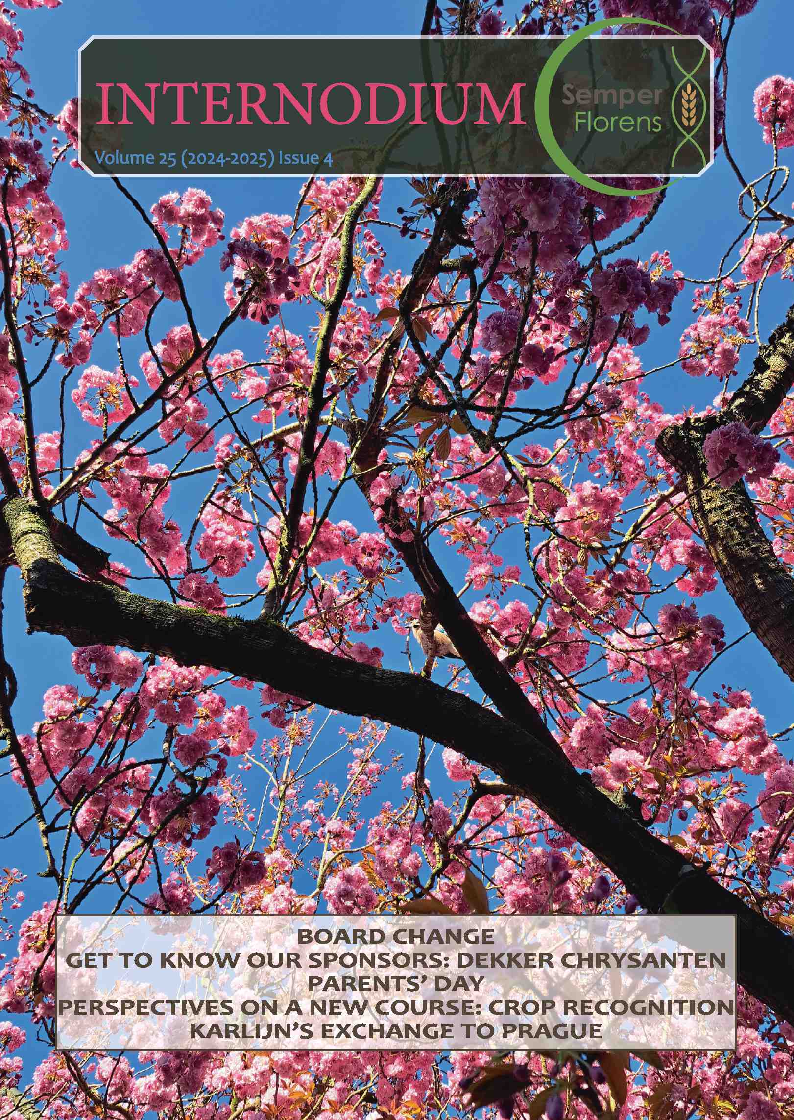 Cover editie mei 2025