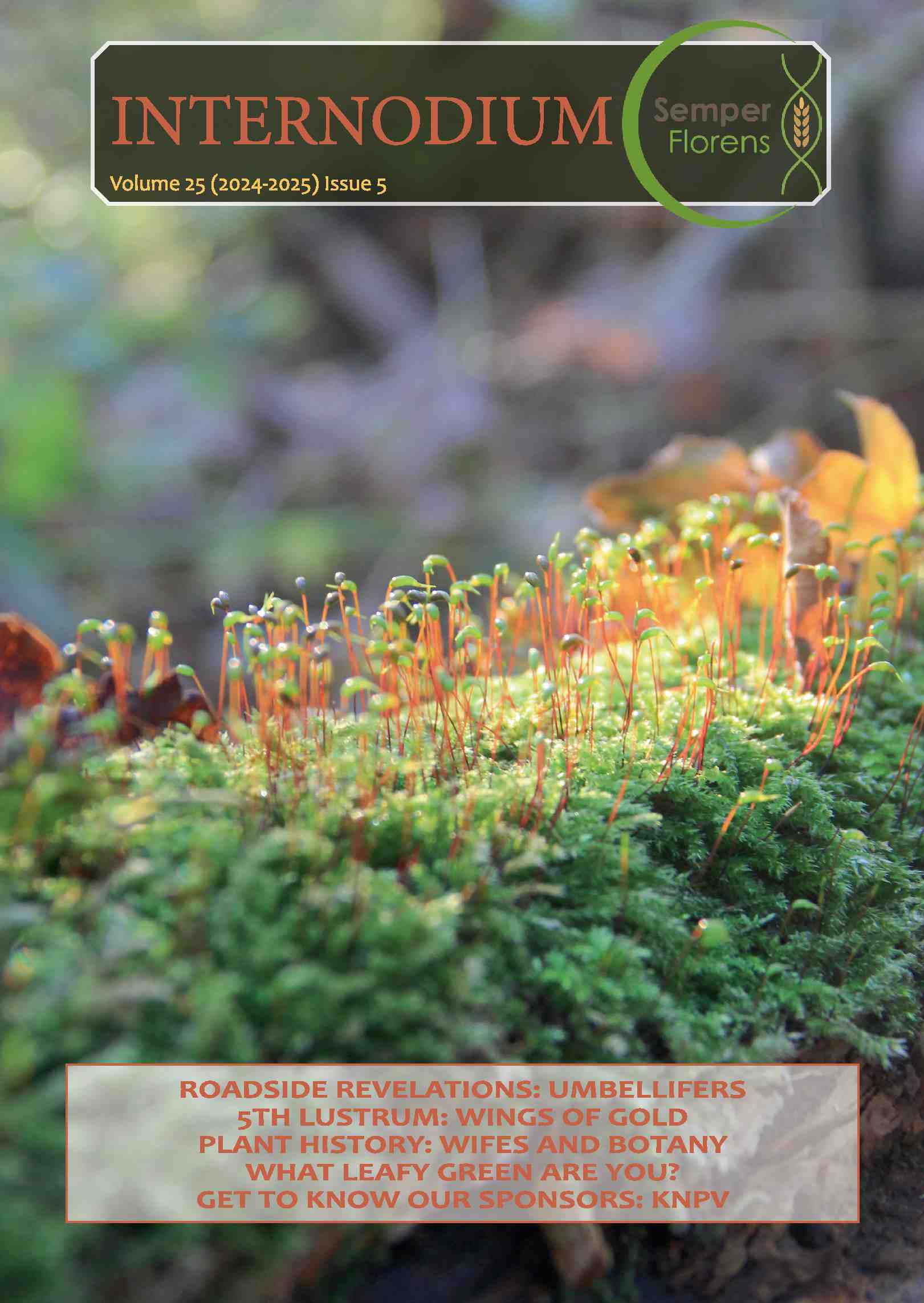 Cover editie juni 2025