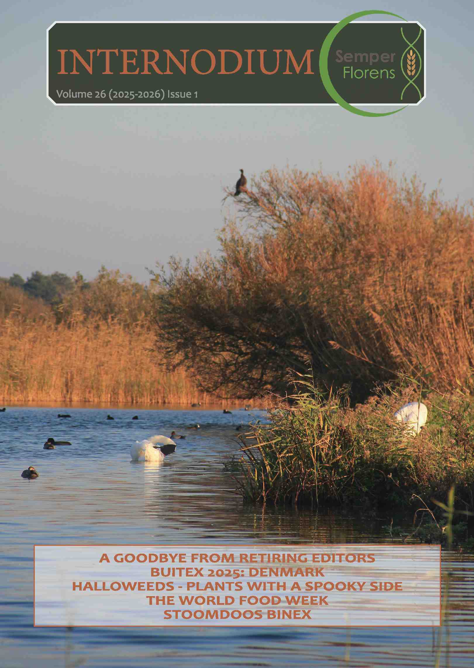 Cover editie oktober 2025