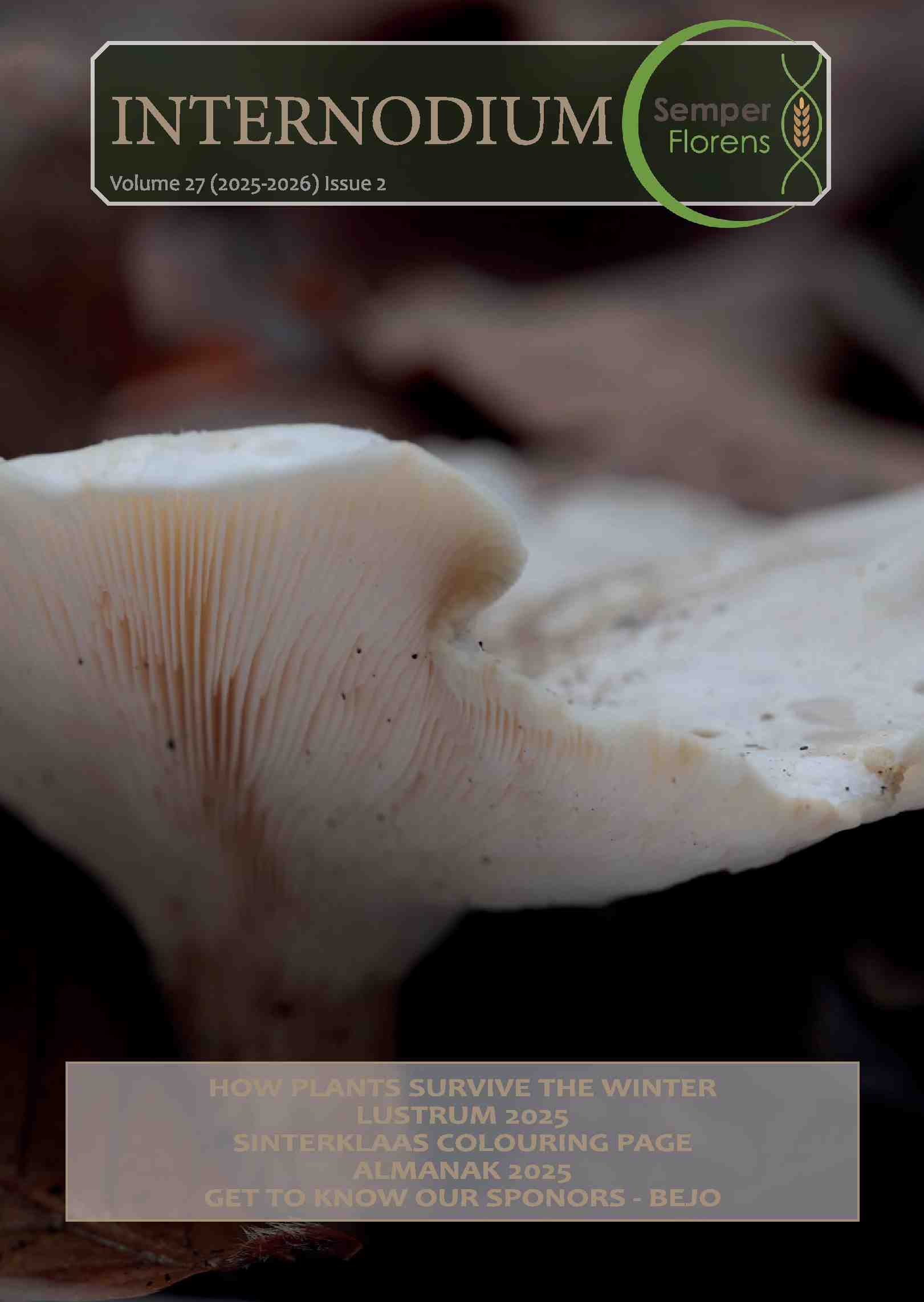 Cover editie december 2025