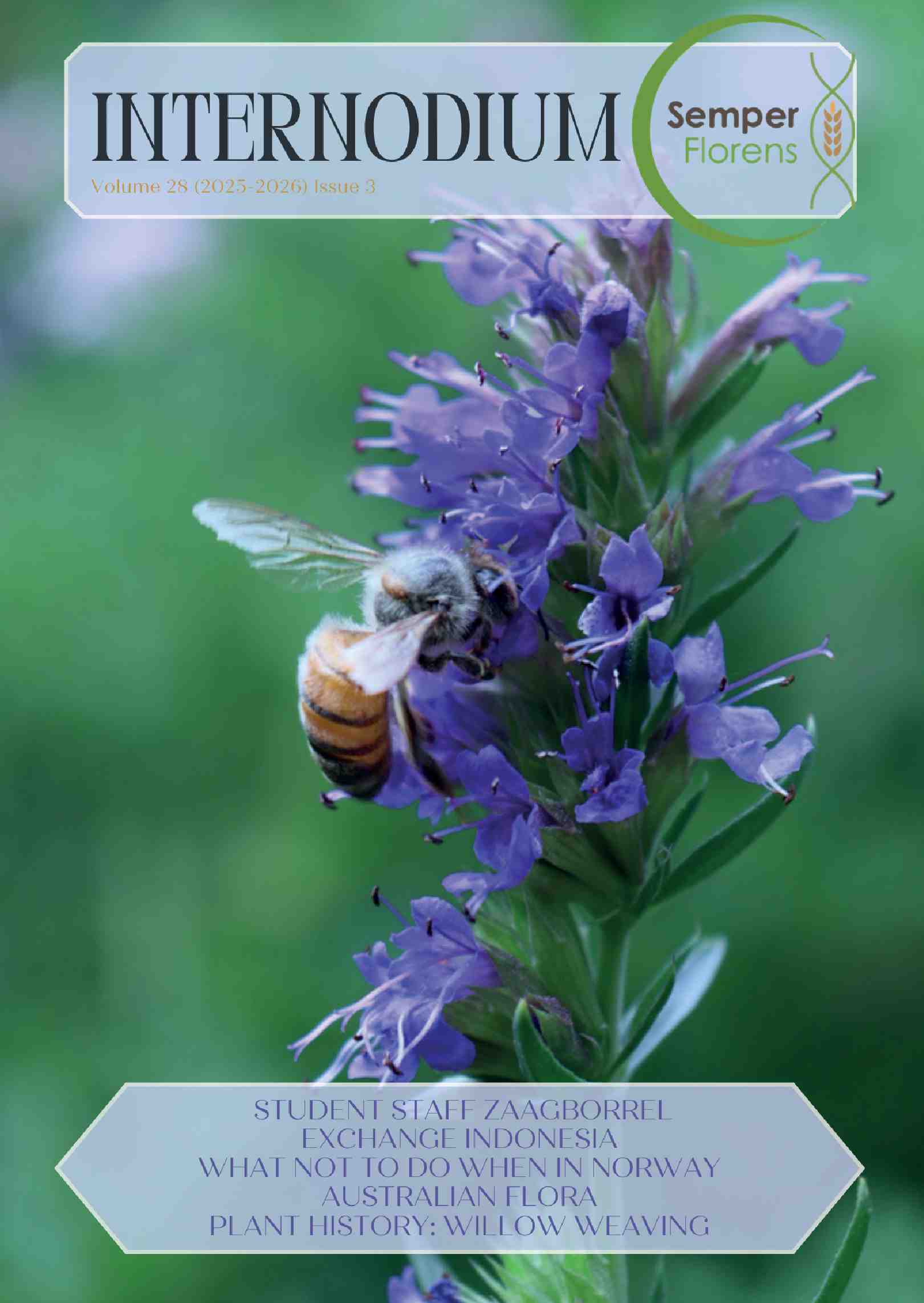 Cover editie maart 2026