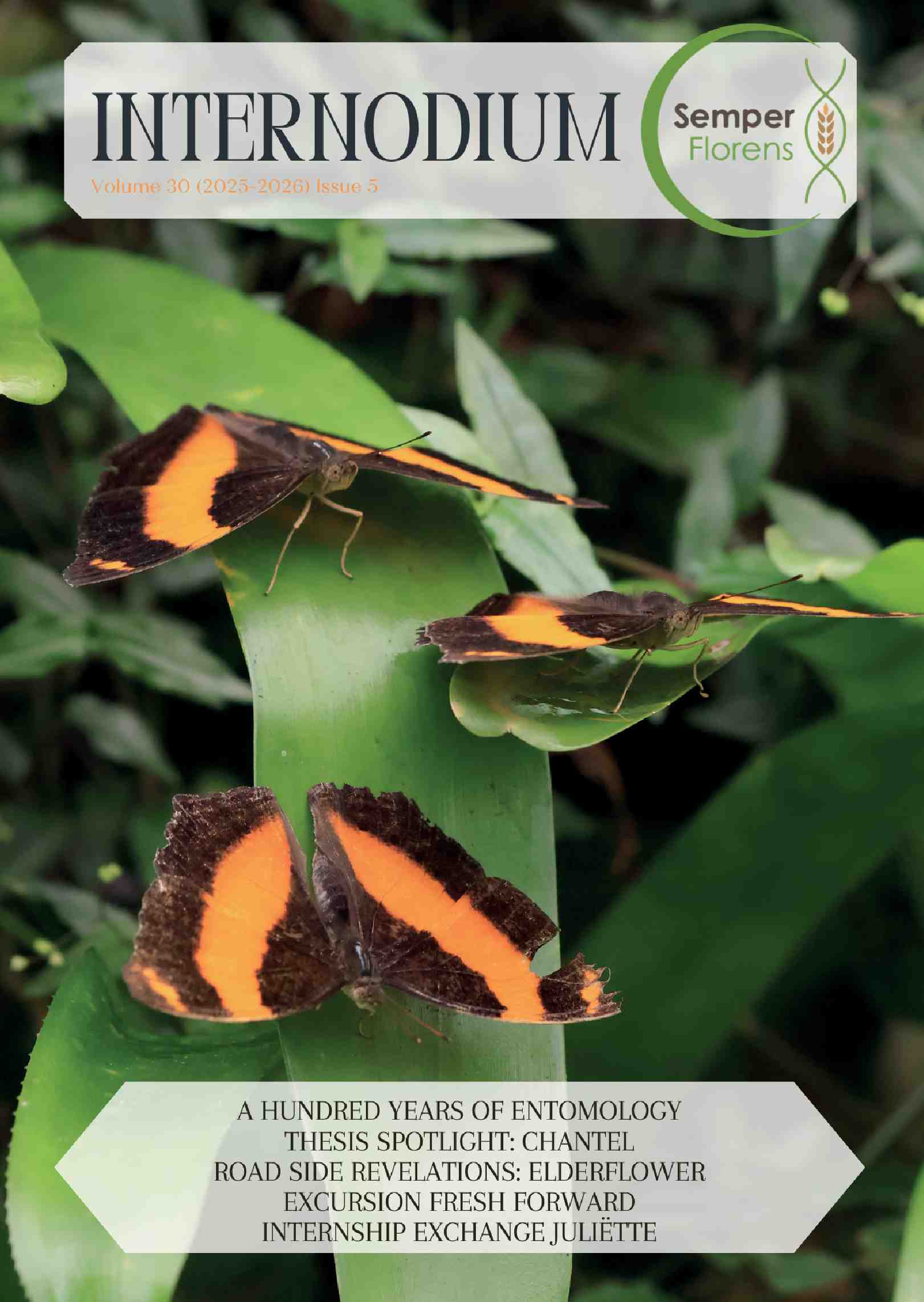 Cover editie juni 2026