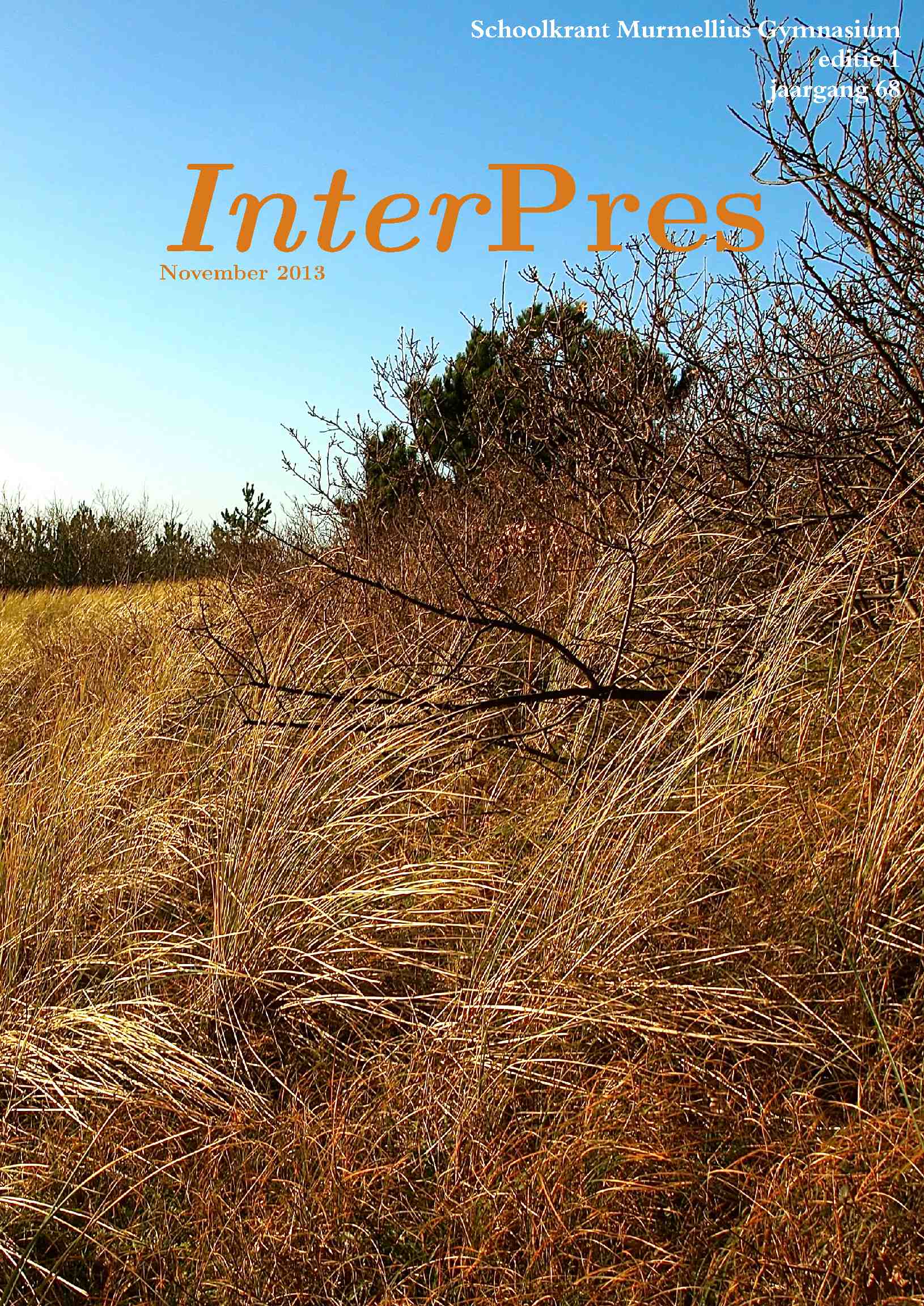 Cover editie november 2013