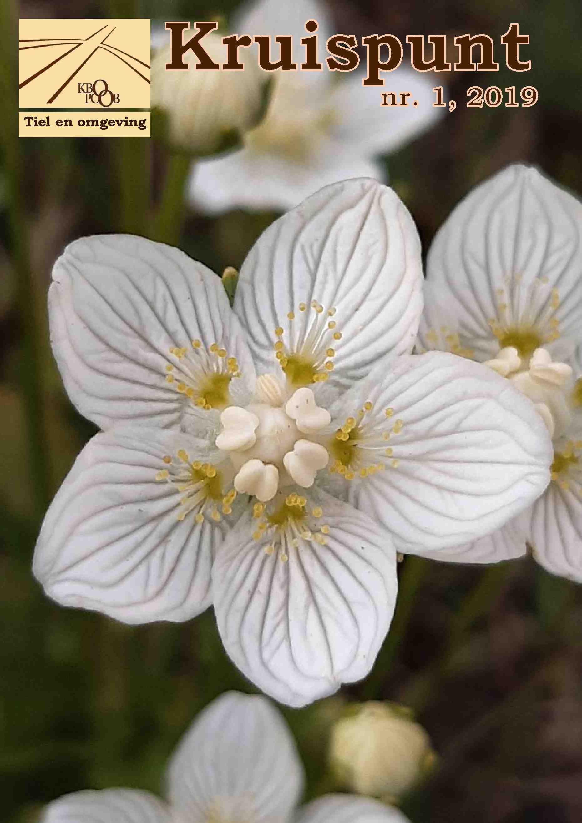 Cover editie december 2019