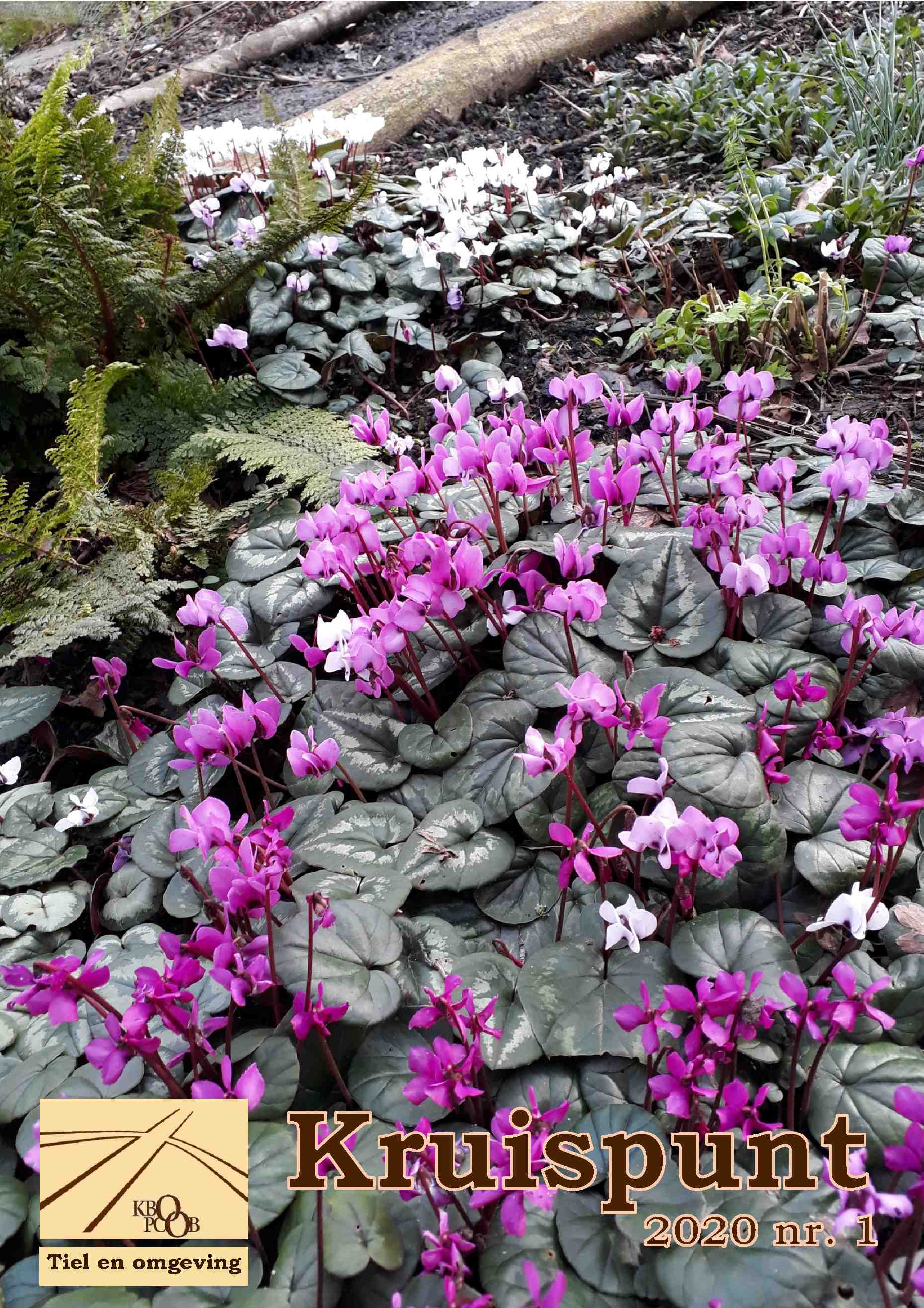 Cover editie maart 2020