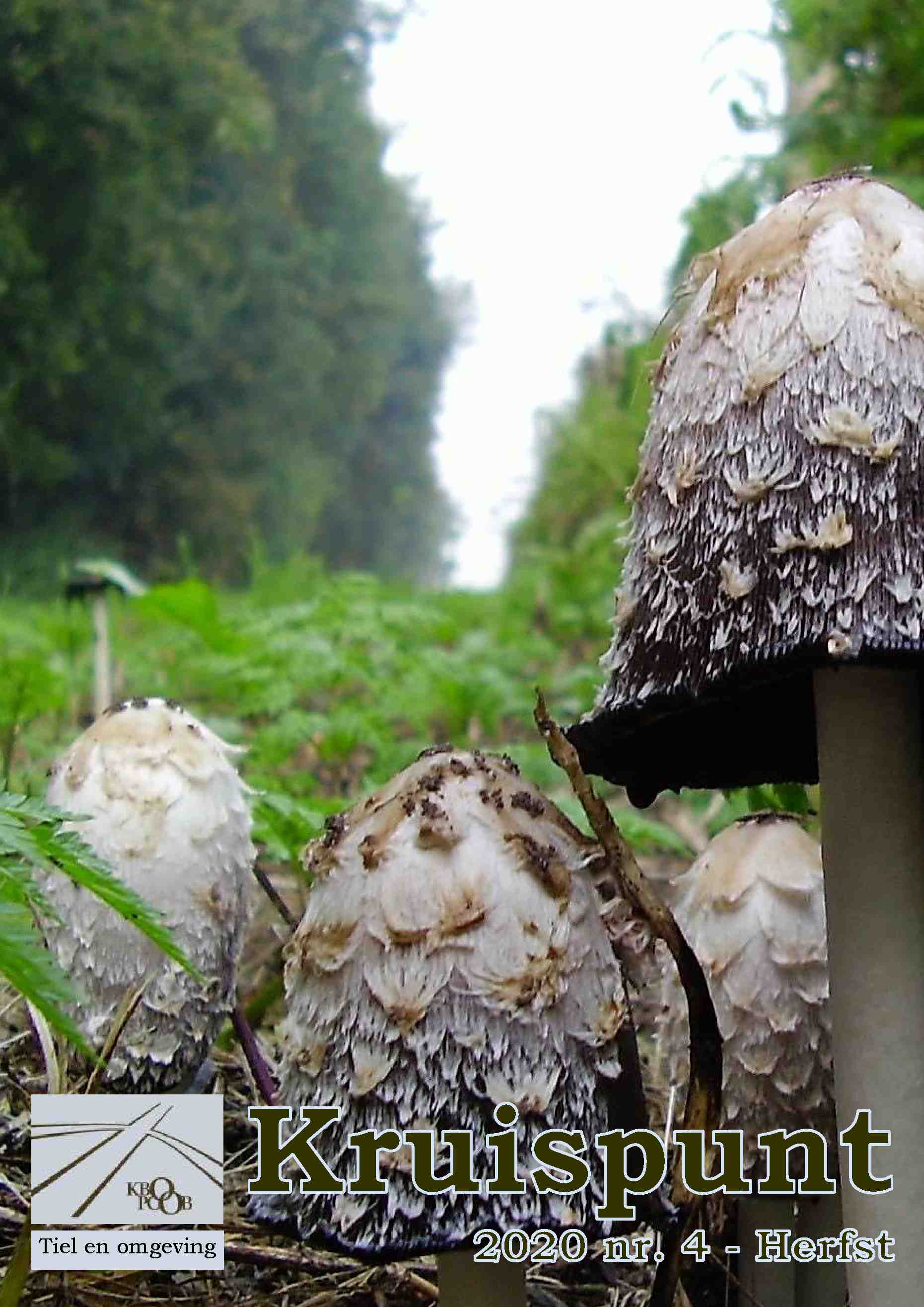 Cover editie september 2020