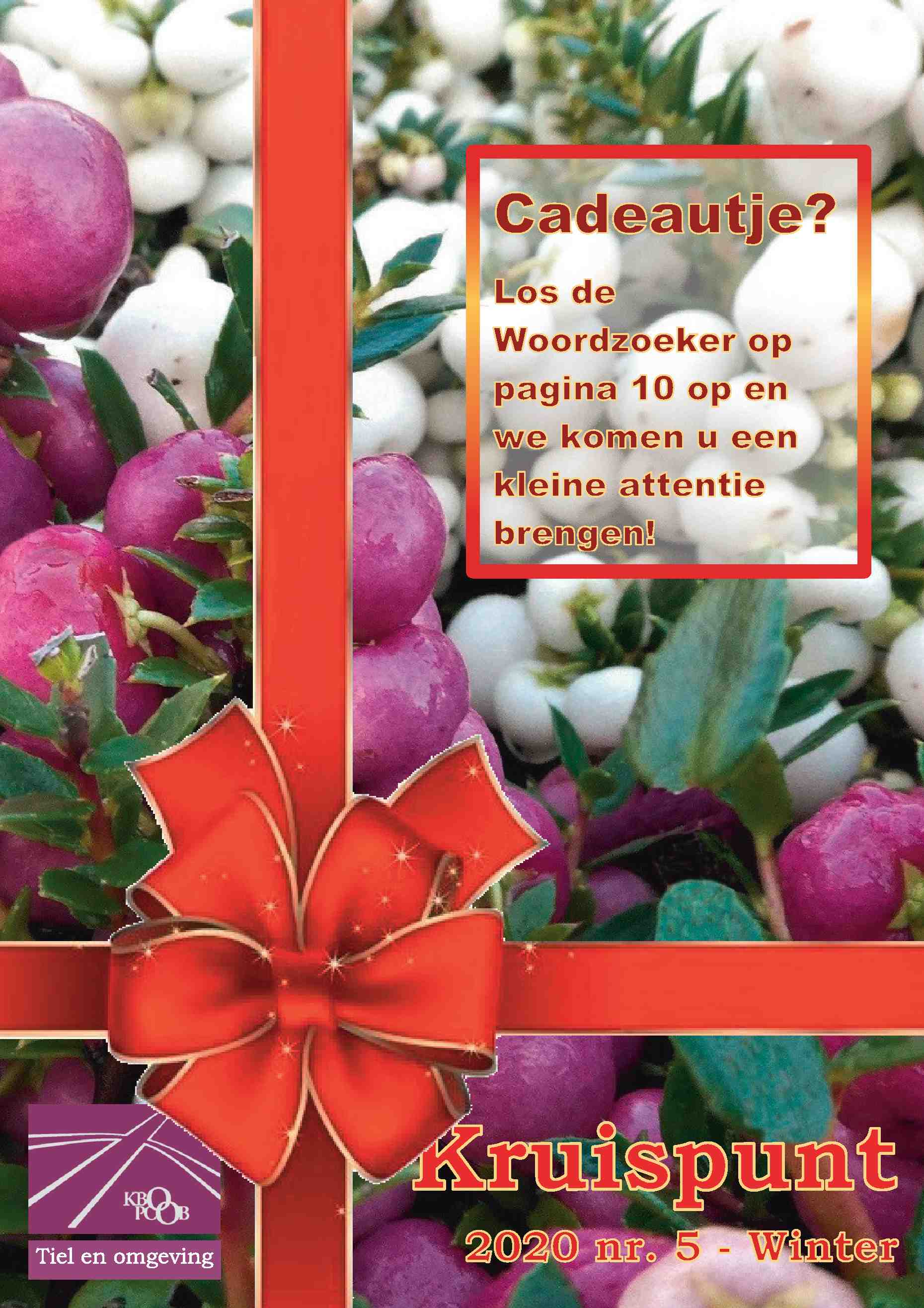 Cover editie november 2020