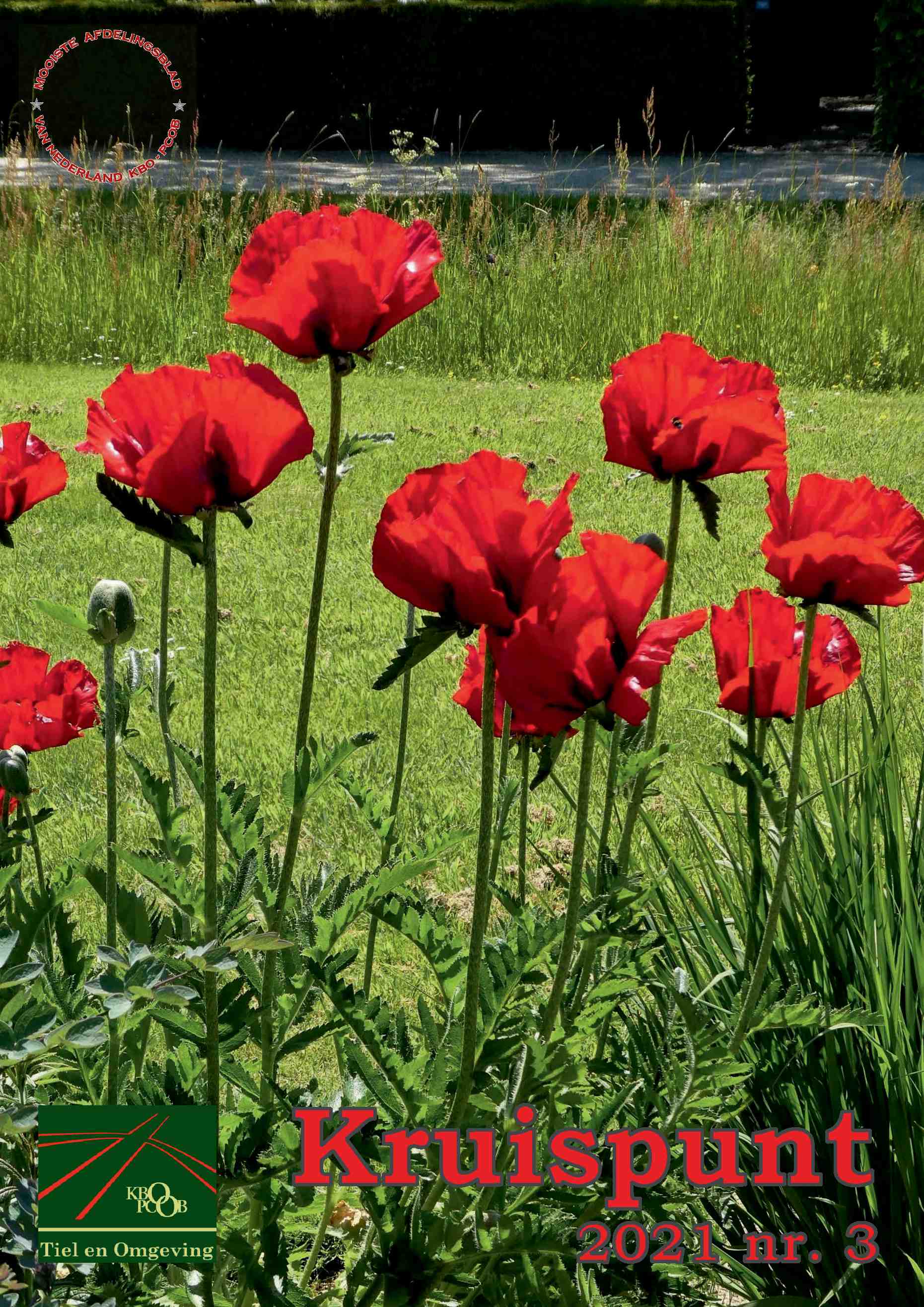 Cover editie juni 2021