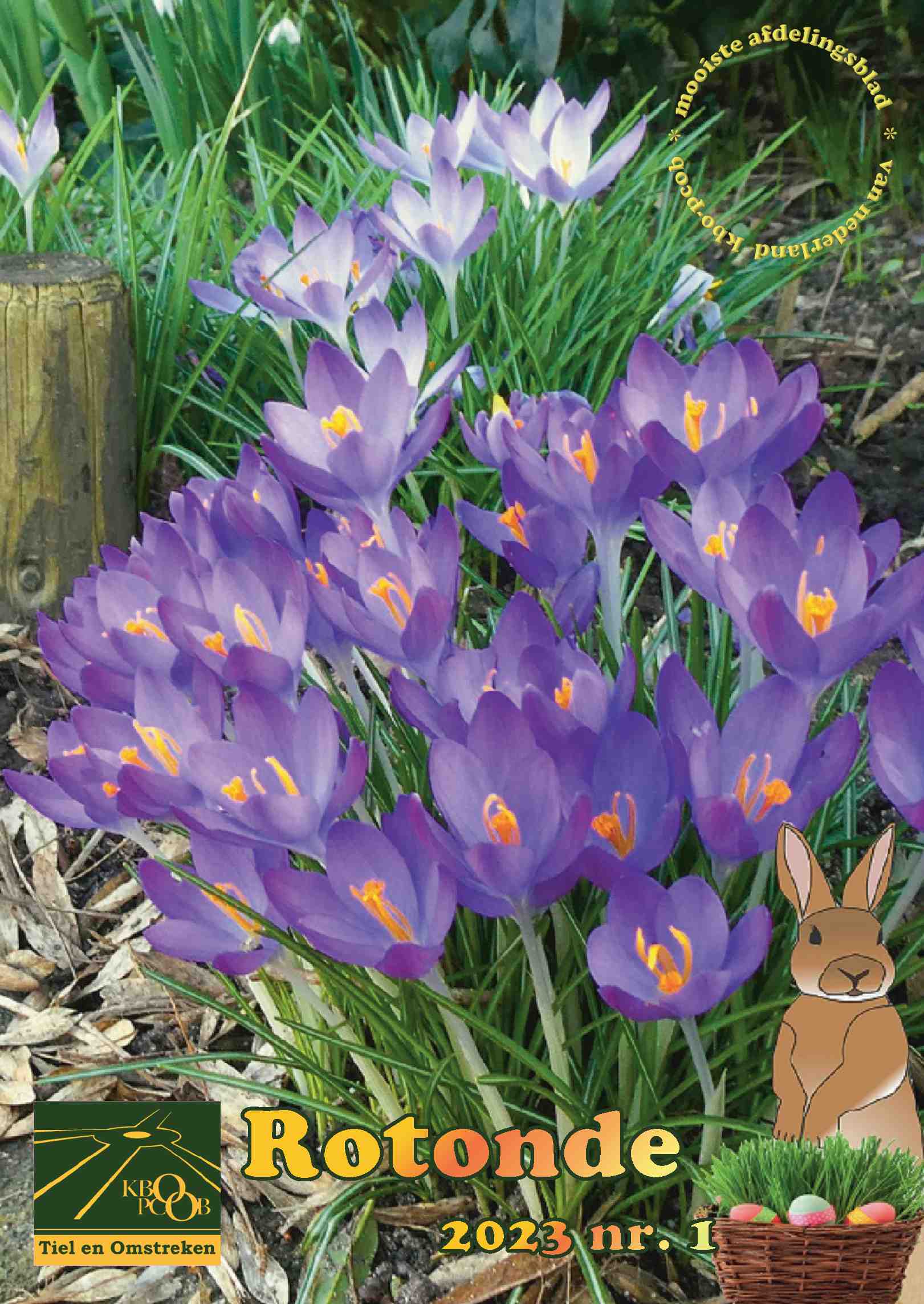 Cover editie februari 2023