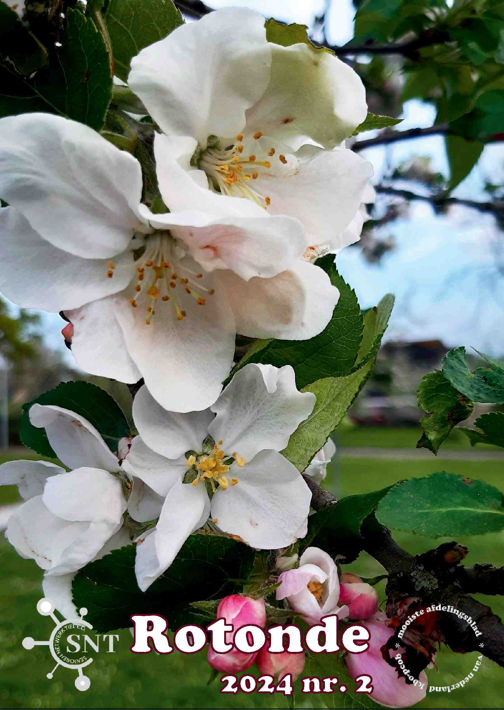 Cover editie mei 2024