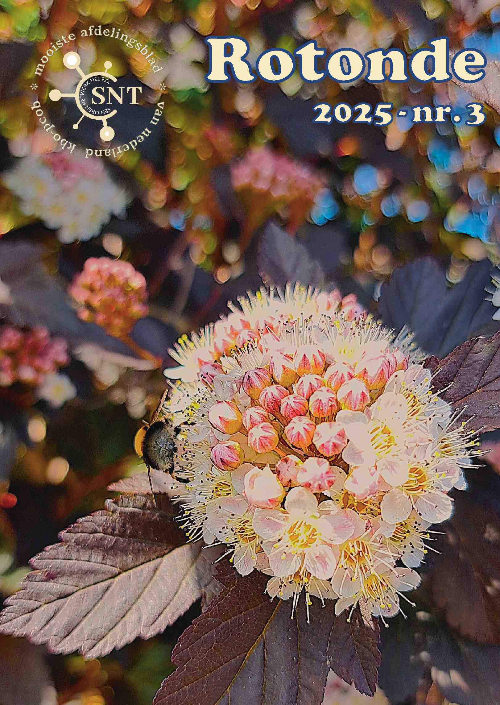 Cover editie juni 2025