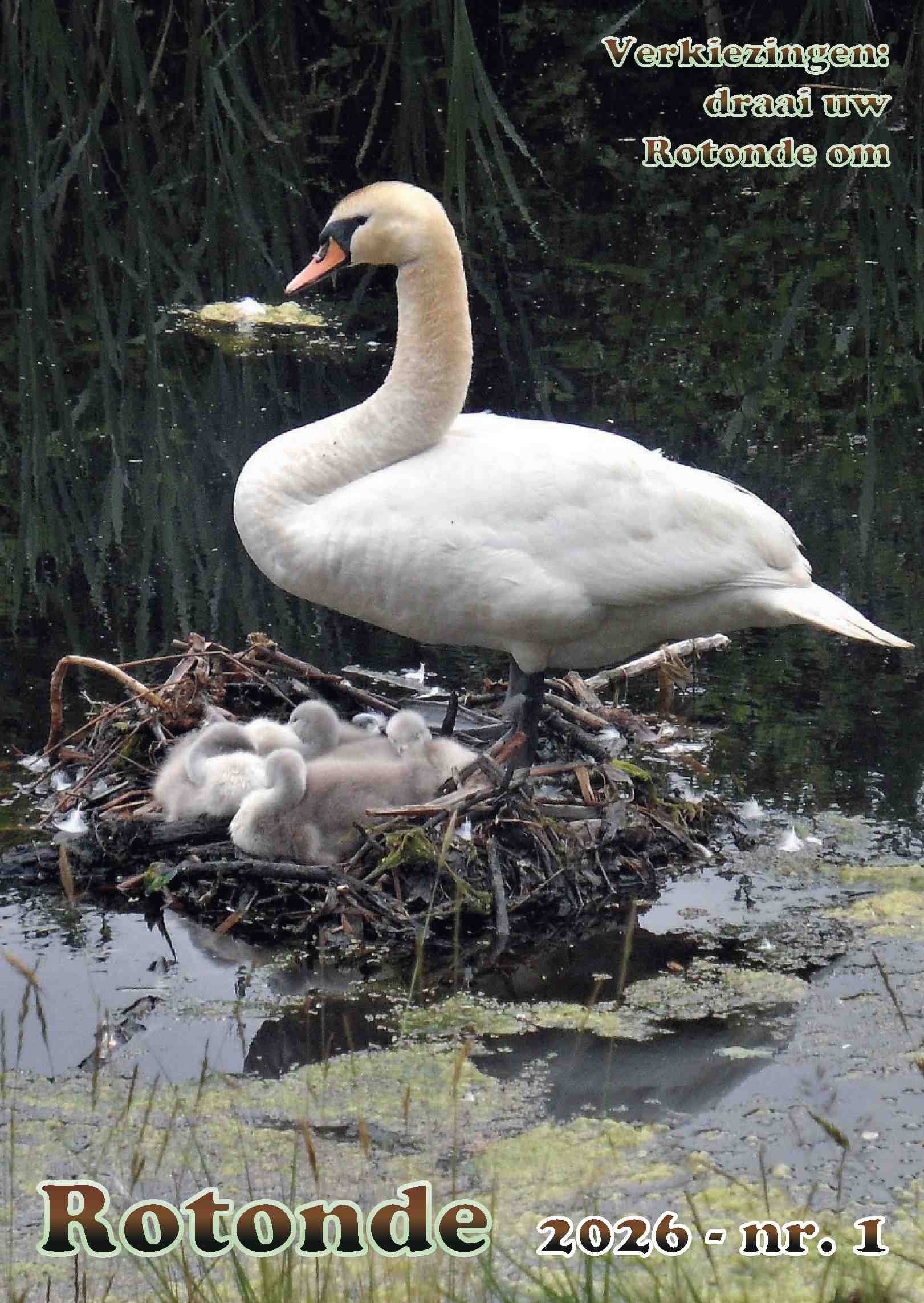 Cover editie februari 2026