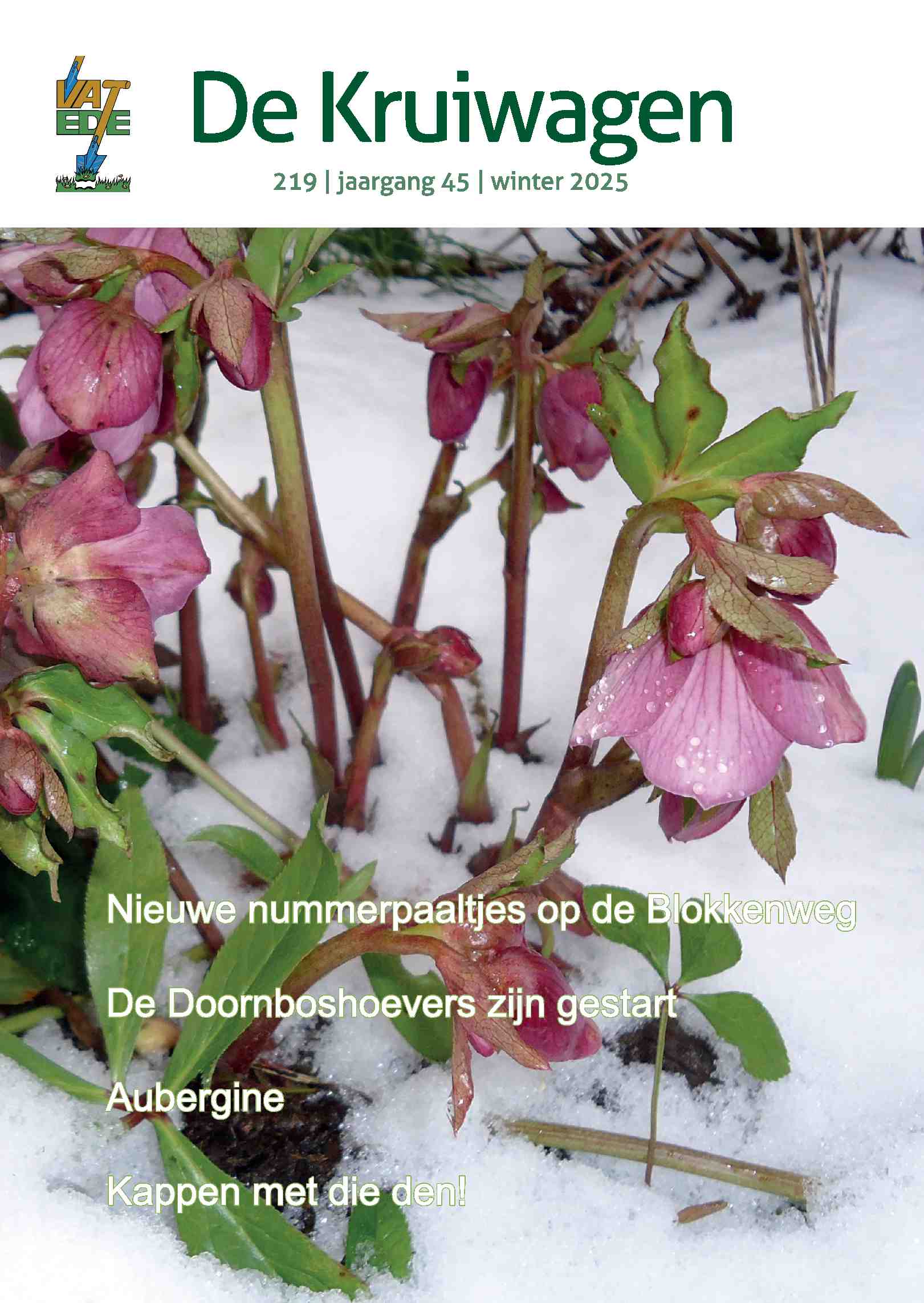 Cover editie december 2025